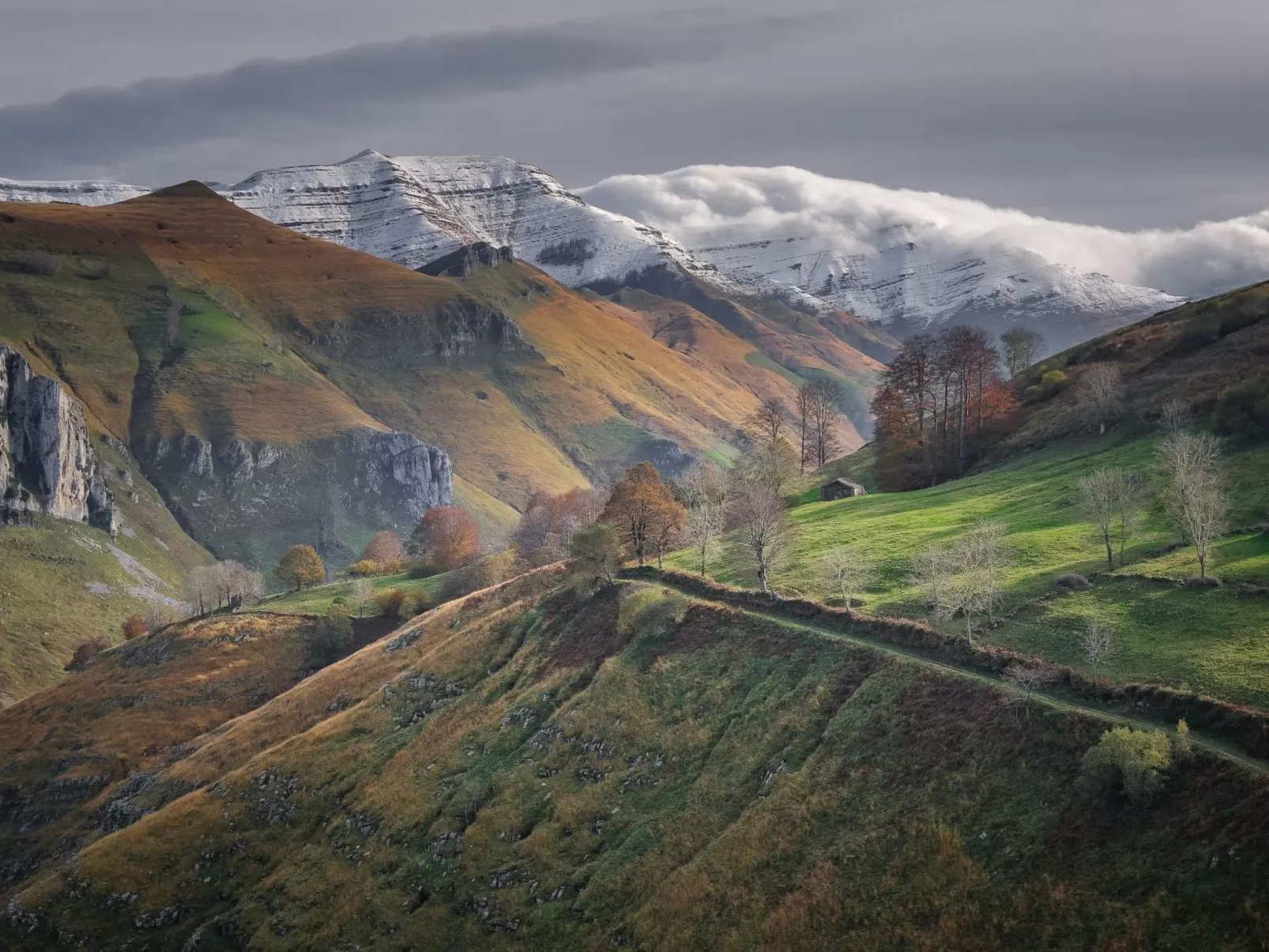 Fachwerkhaus mit Garten-Image-tags.info