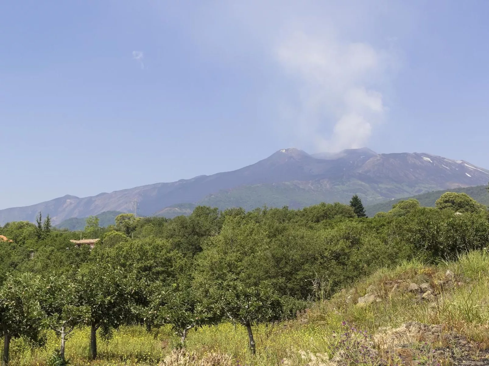 Villa Le Vignoble in Montargano-Image-tags.info