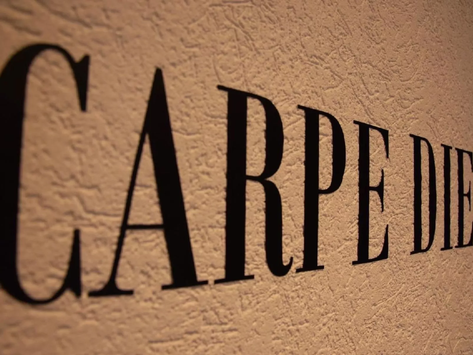 Chalet Friedrich-Image-tags.info