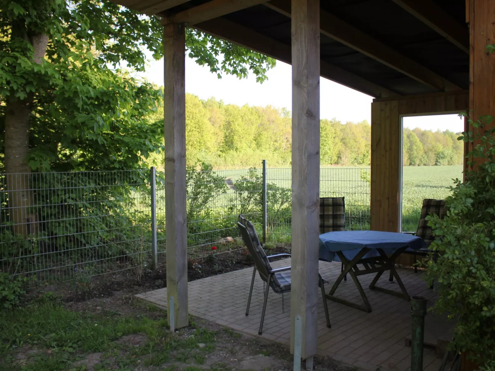 Waldrand in Ascheffel-Buiten