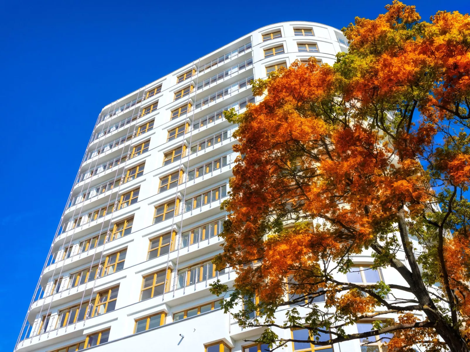 Appartement Tower 65 in einem ruhigen Stadtviertel-Image-tags.info