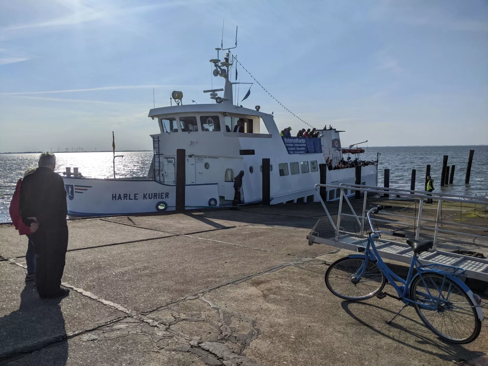 Eul in Butjadingen-Großwürden-Buiten