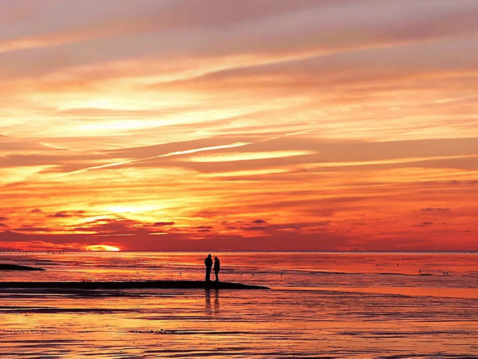 In Burhave mit Großer Terrasse-Buiten
