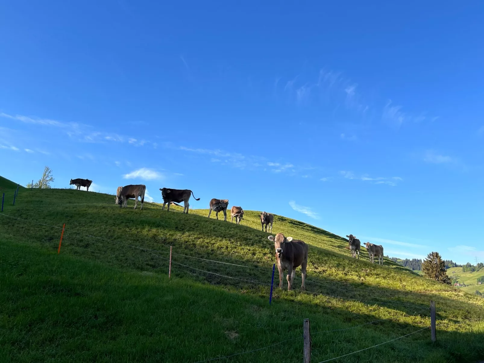 Sonnige Maisonette-Buiten