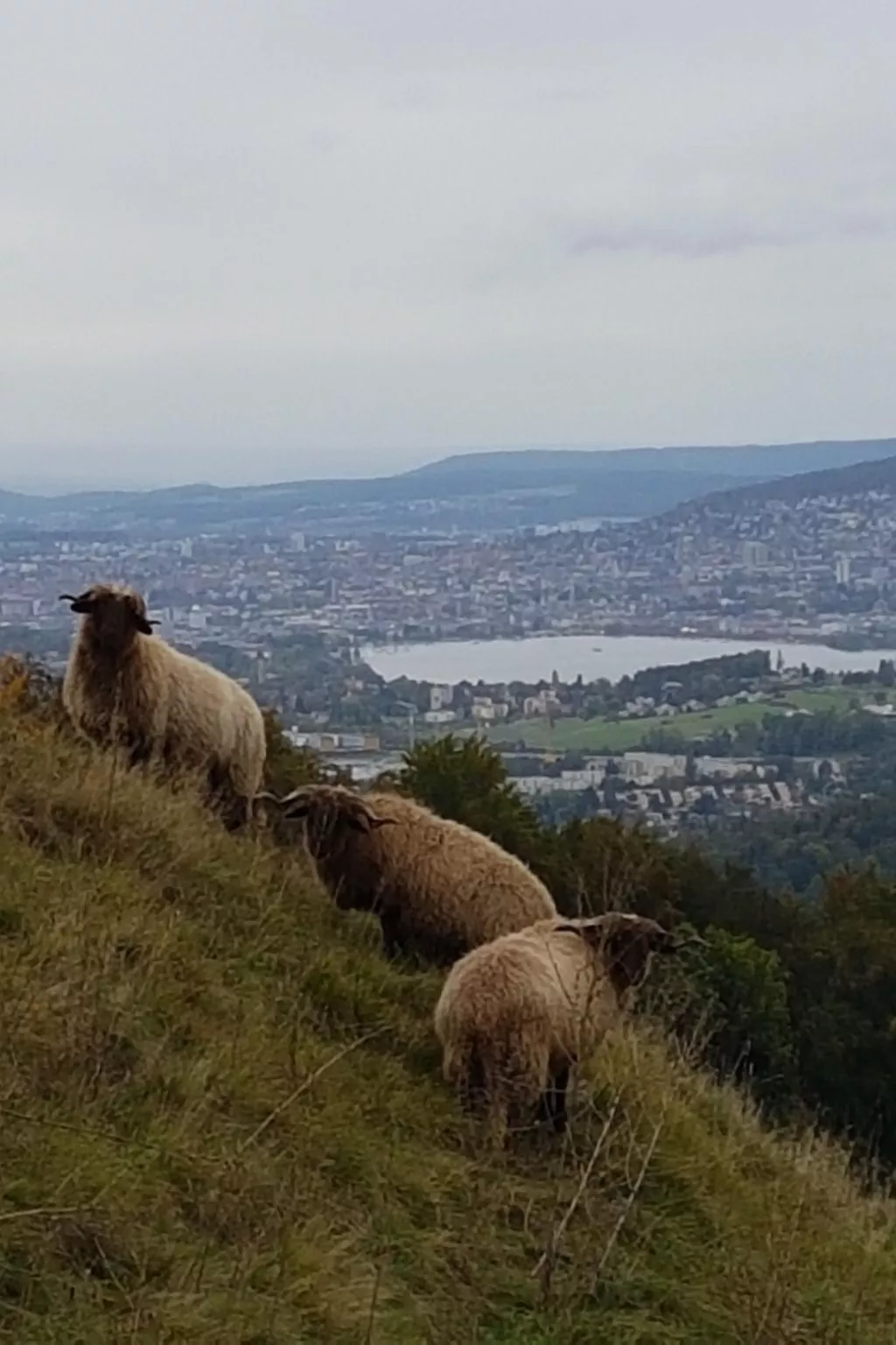 Historisches Riegel-Doppelbauernhaus-Buiten