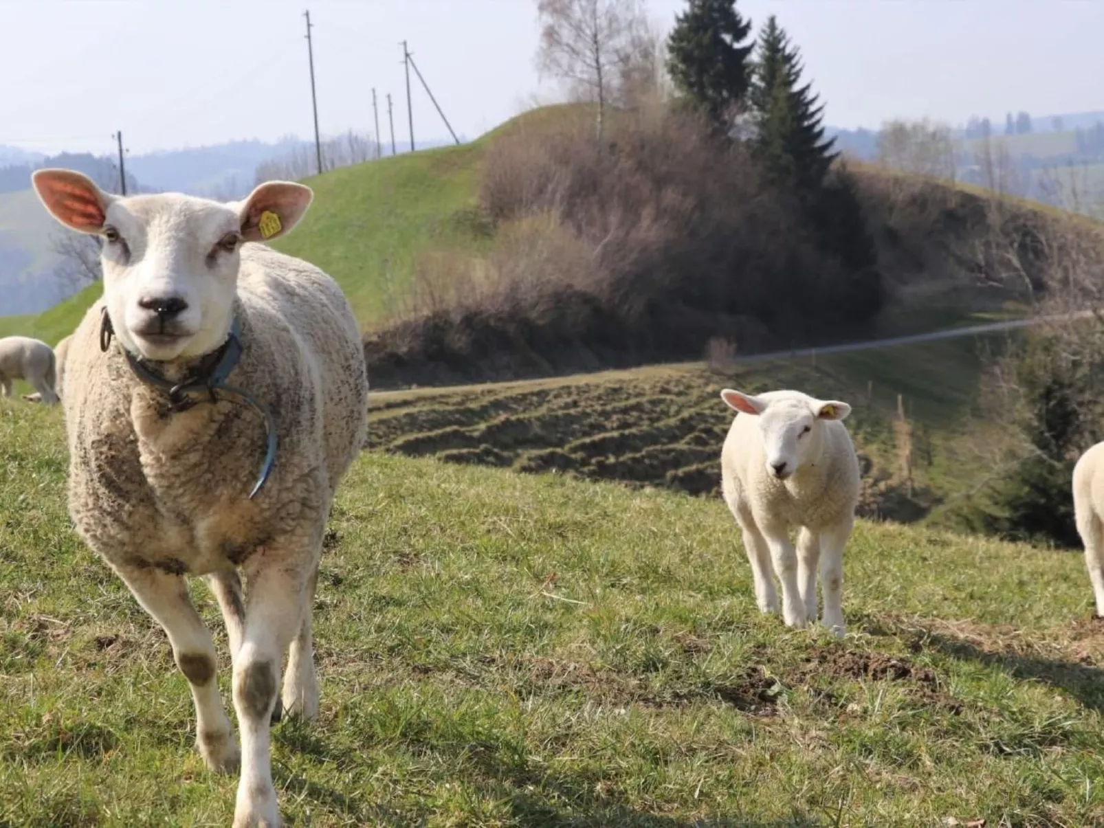 Ober-Tiefenbühl-Buiten