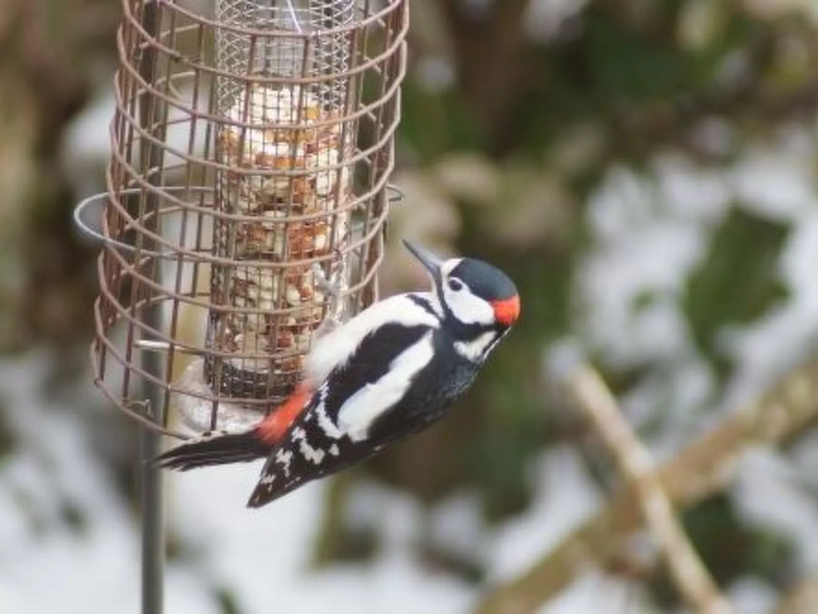 Idyllisches Landhaus Rosemary-Image-tags.info