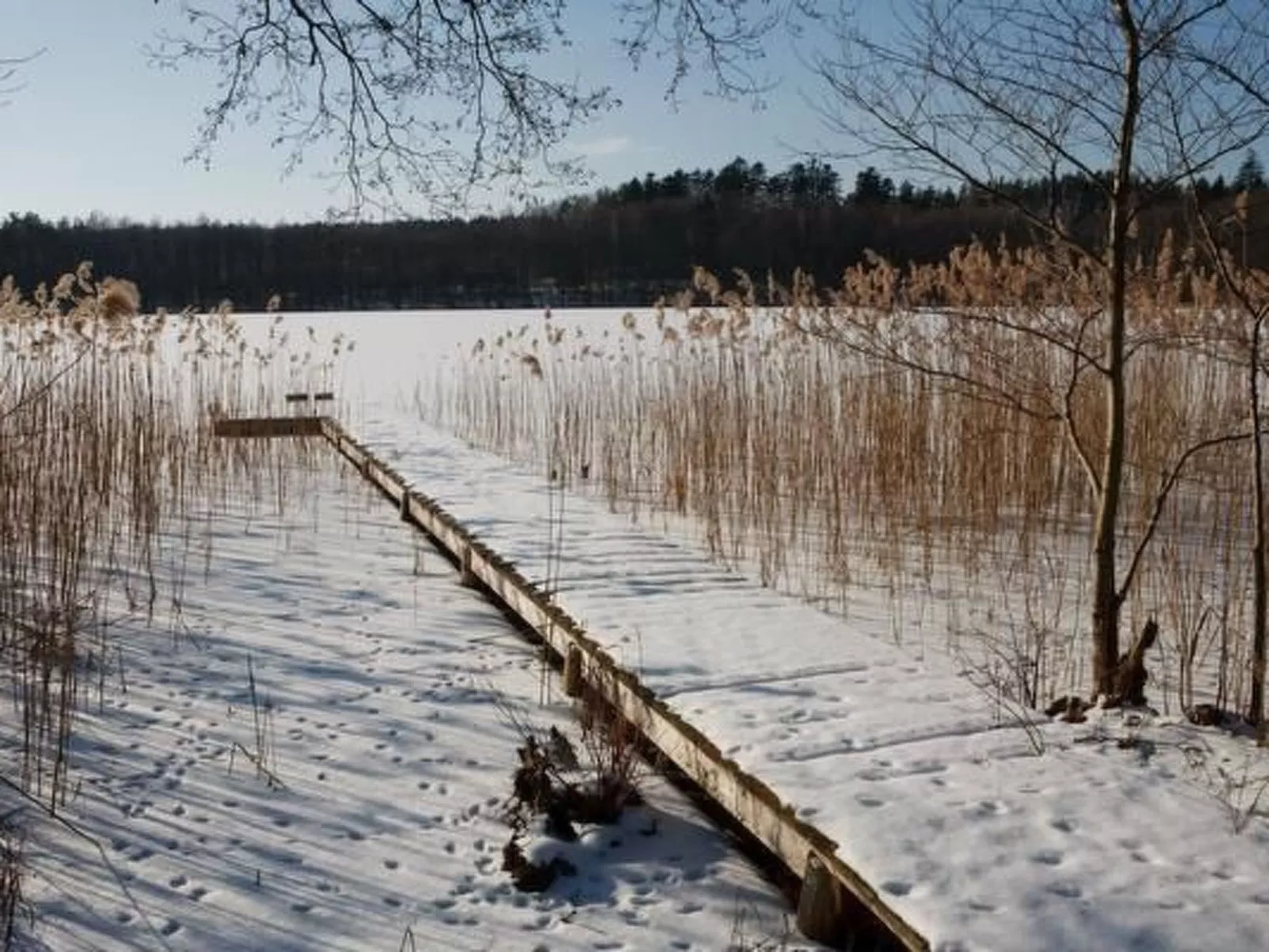 Haus des Kreises-Buiten