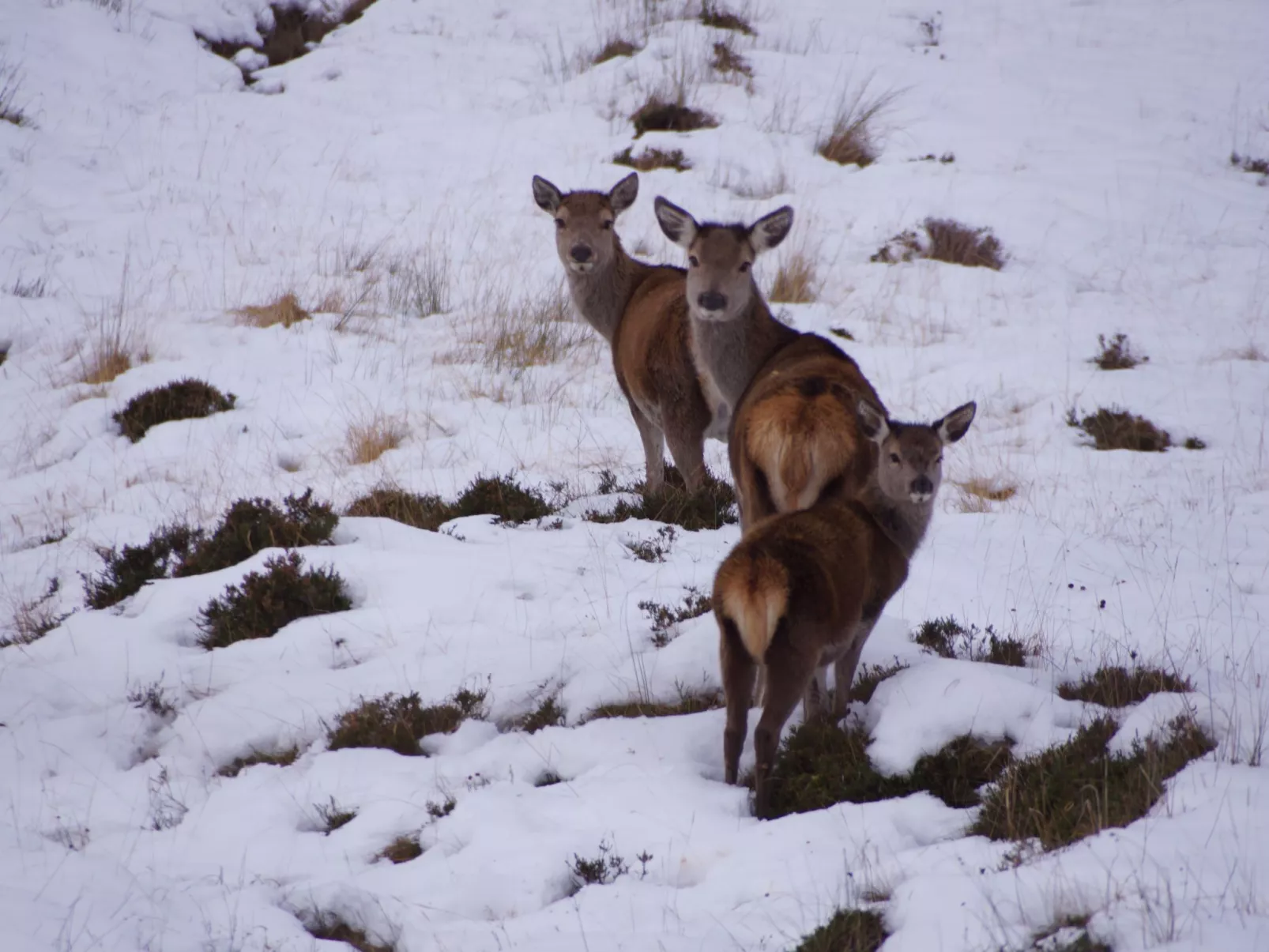 West Horizon Ferienhaus-Buiten