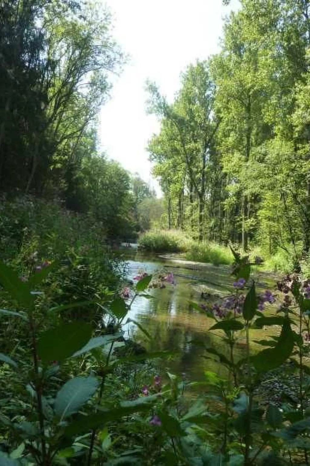 Haus mit  freier Fahrradnutzung und kleinem Boot-Buiten