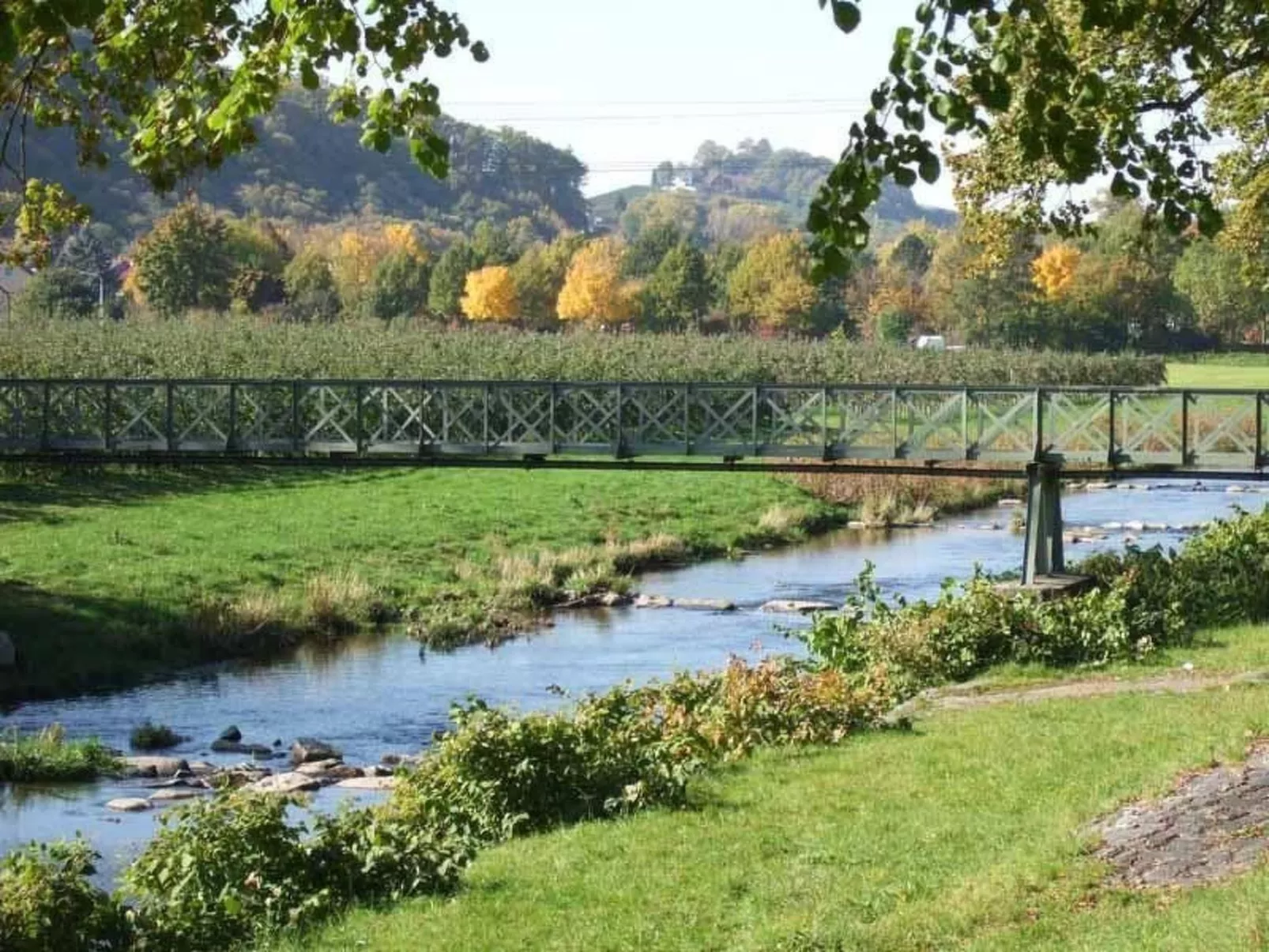 Mayer in Oberkirch-Buiten