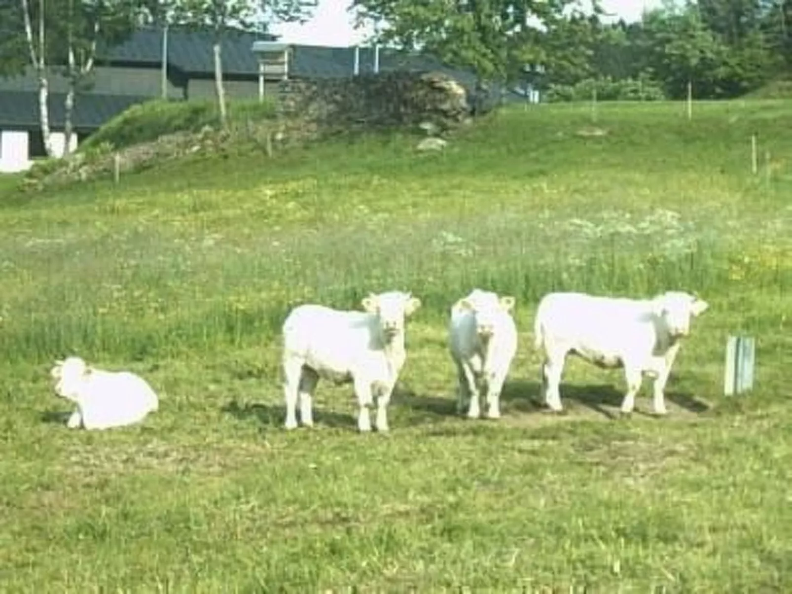 Appartement in Wittenschwand-Buiten