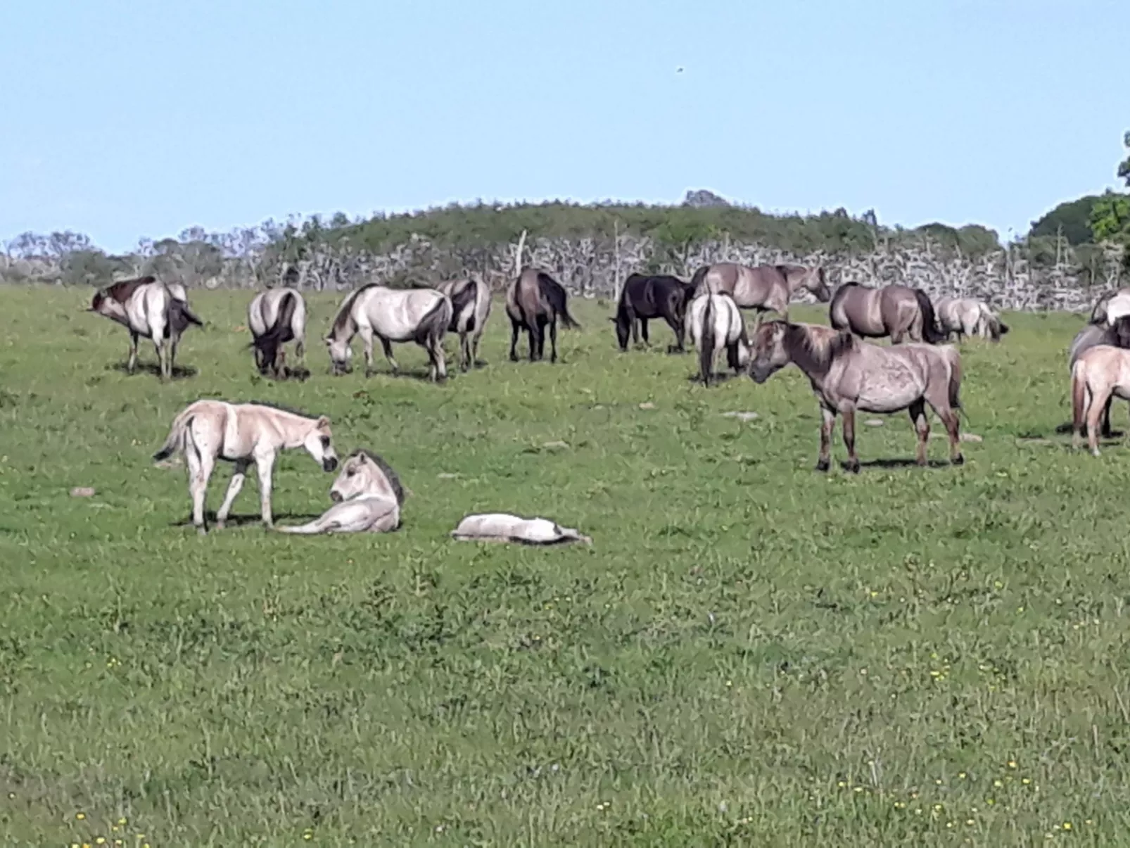 Land-Ferienhaus-Buiten