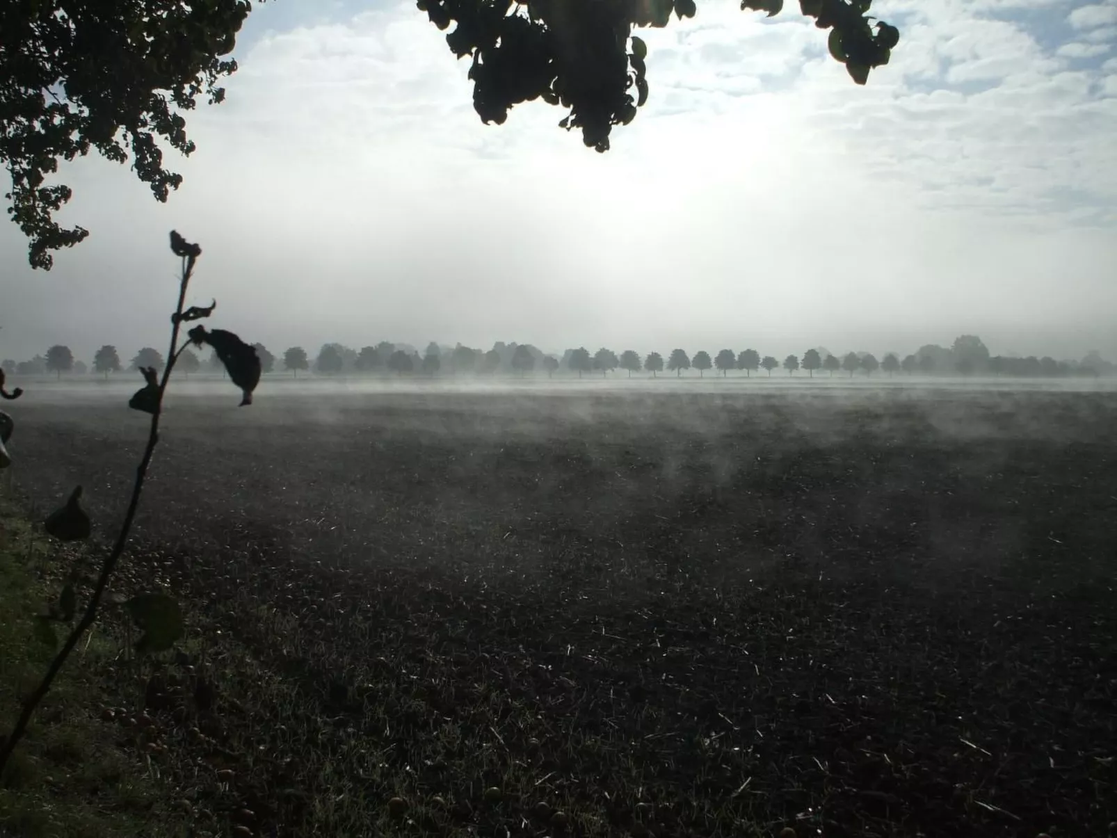 Oderhäuschen-Image-tags.info