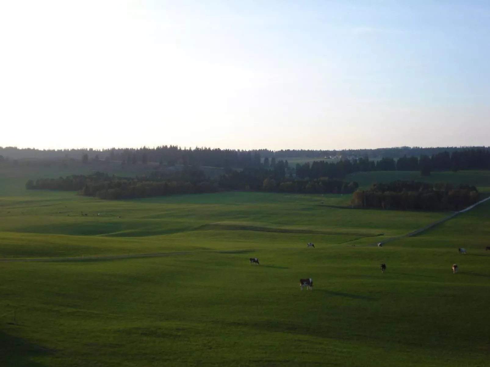 Wohnung in altem, renoviertem Bauernhaus-Buiten