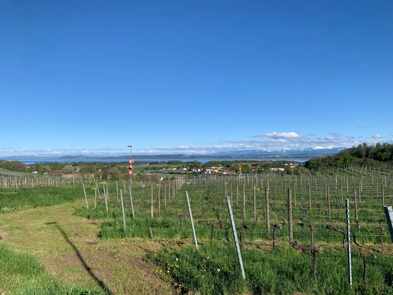 Cozy Little Dream - Buiten