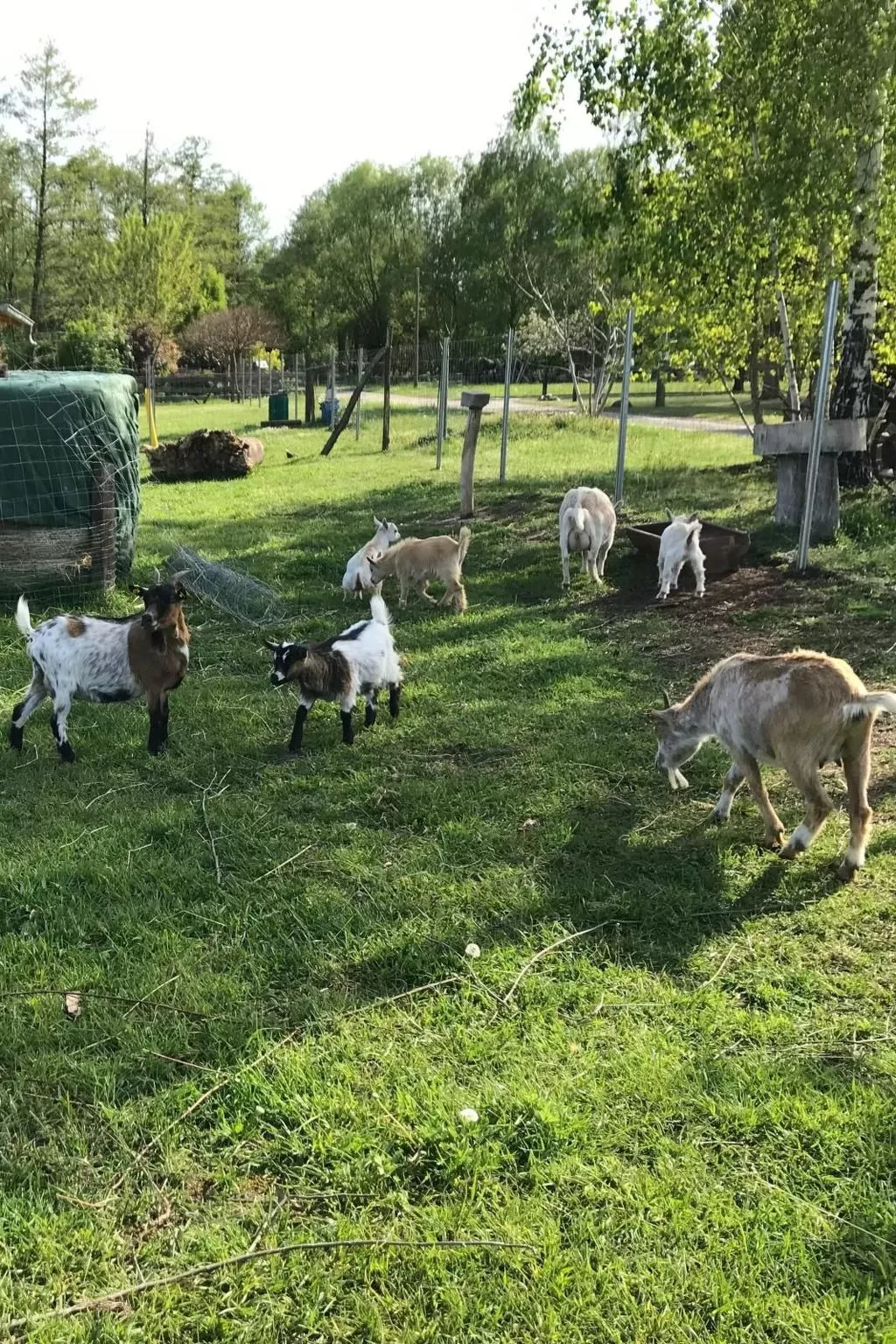 Zochiserlebnishof-Buiten