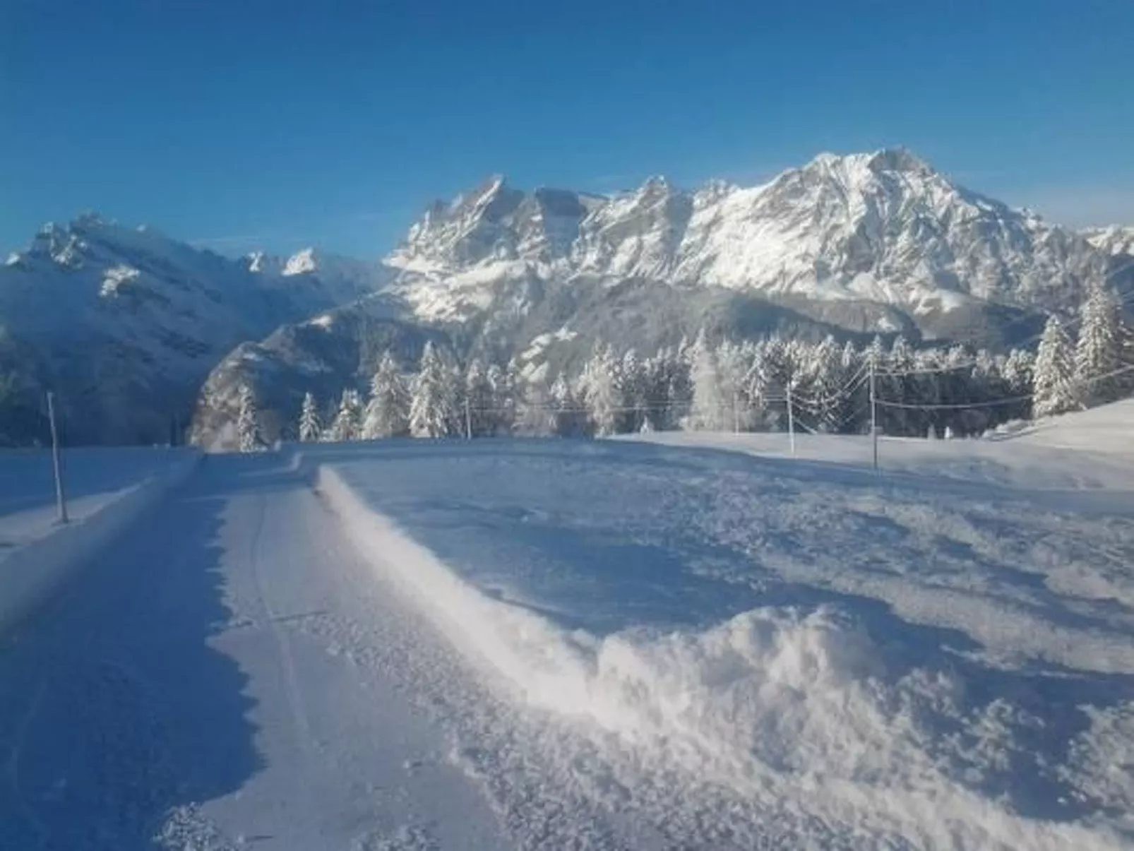 Ferien im grünen rechts-Buiten
