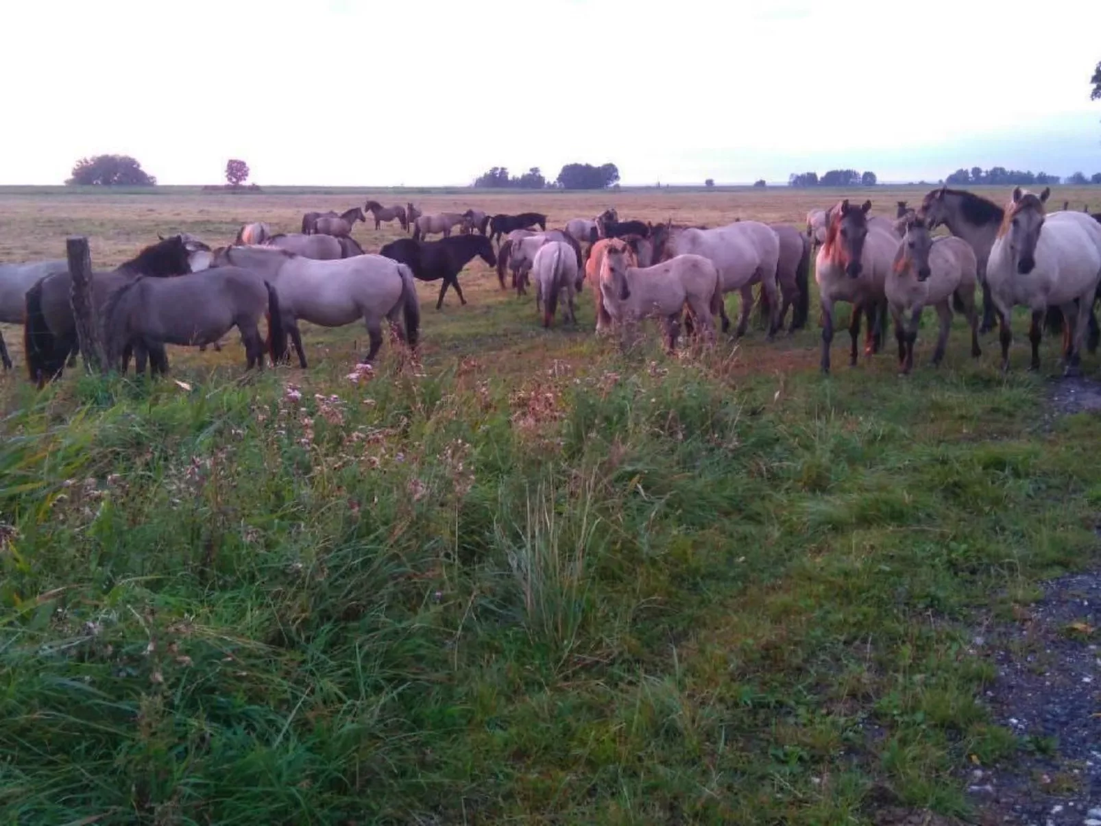 Juwel an der Lagune-Buiten