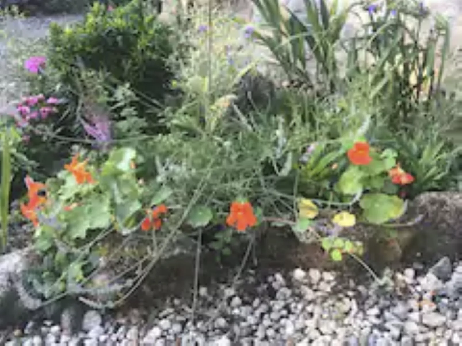 Idyllisches Landhaus mit wunderschönem Garten-Buiten