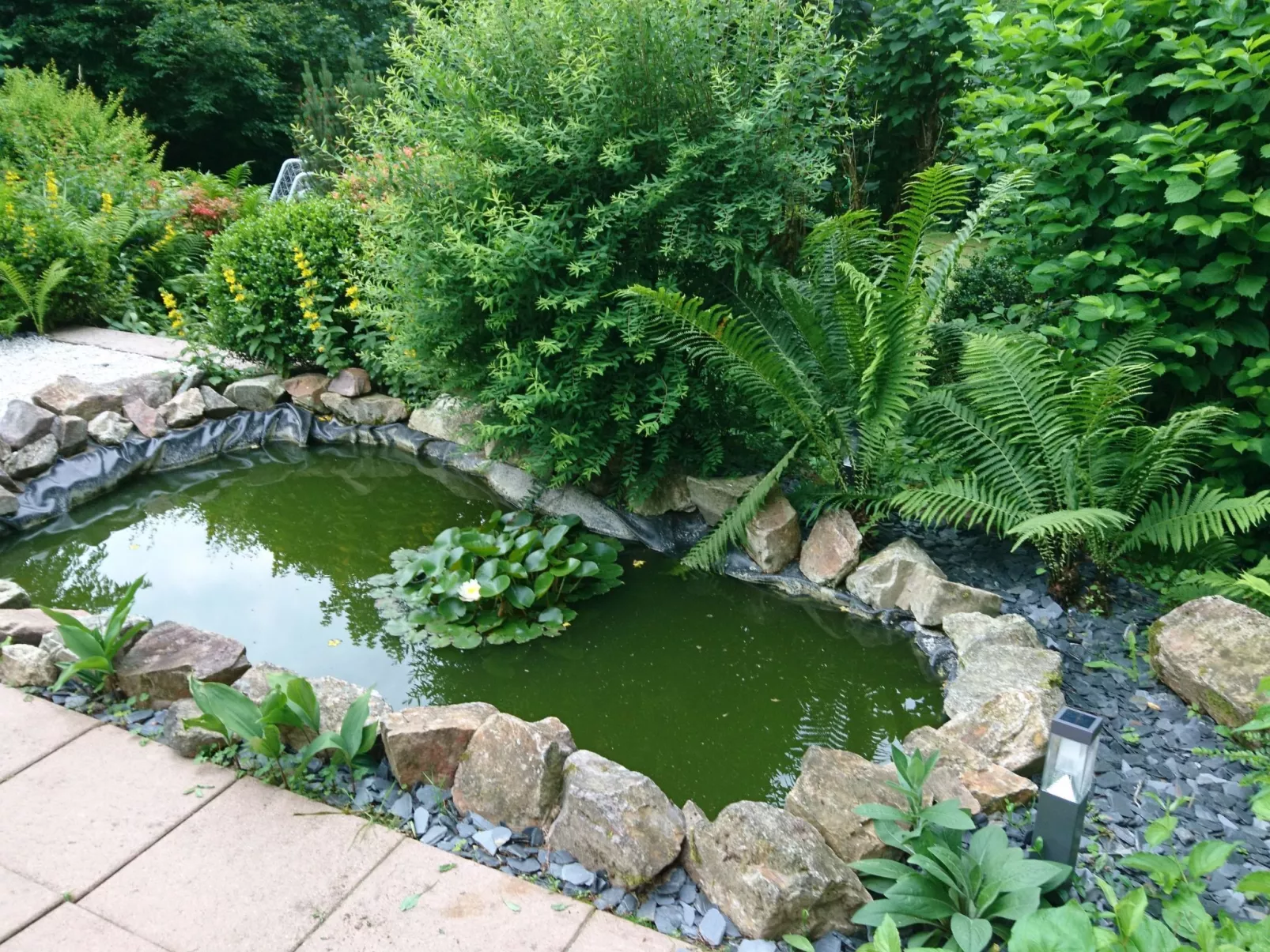 In Im Trieschelbach mit Großem Garten-Buiten