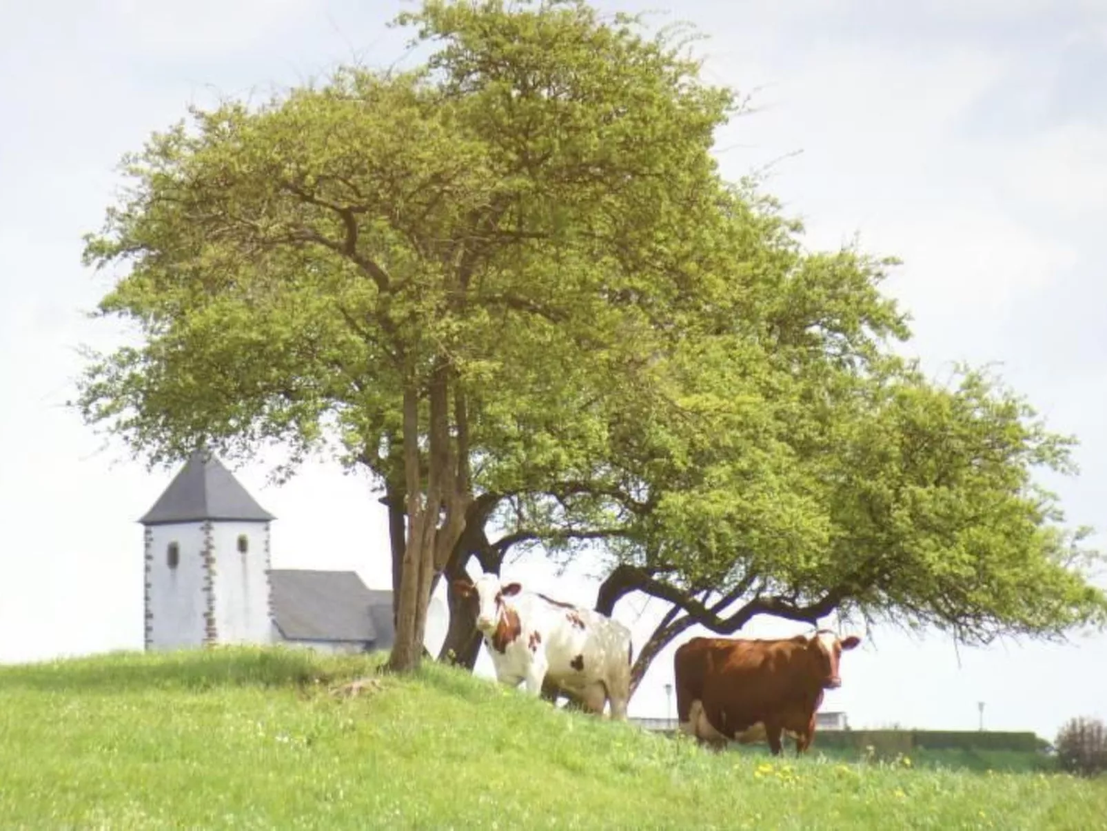 Gemütliche Maisonette Wohnung Seelenblick-Buiten