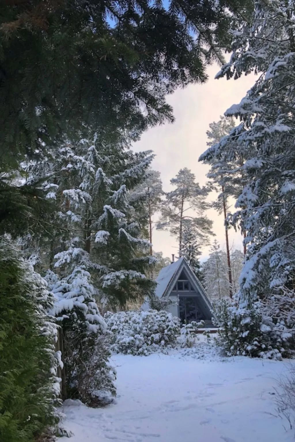 Reetdach Ferienhaus am Lübbesee Sauna Bootsteg neu-Binnen