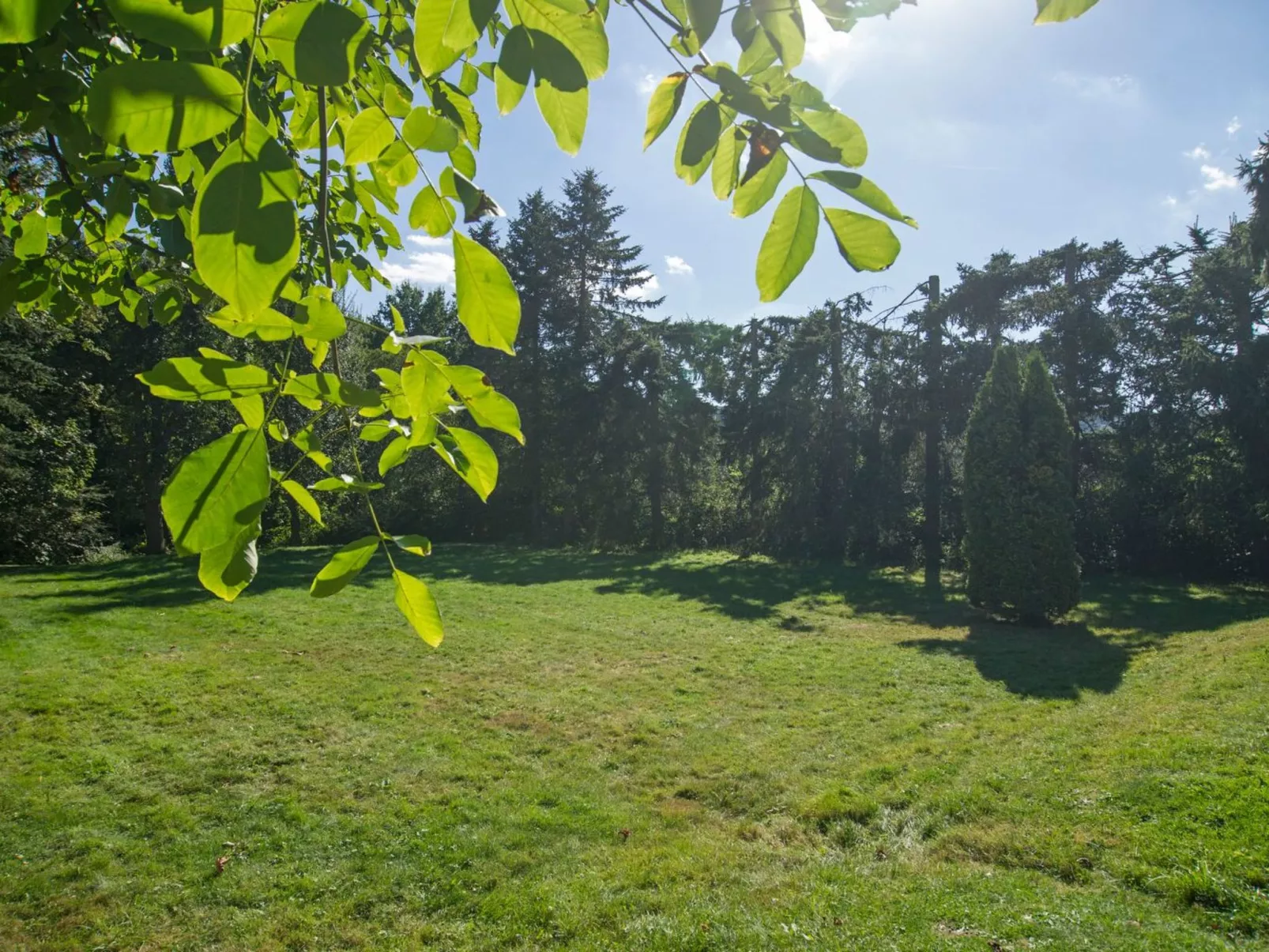 Gemütliches Ferienhaus in Hasenfeld mit Großem Garten-Buiten