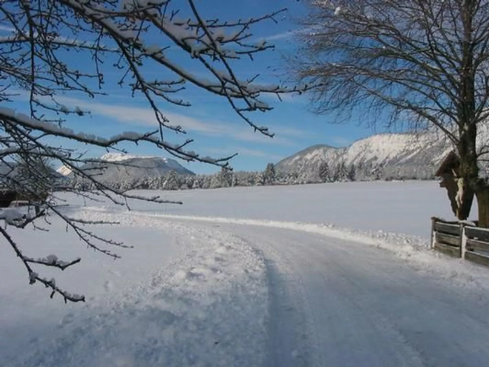 In Wildermieming-Image-tags.info