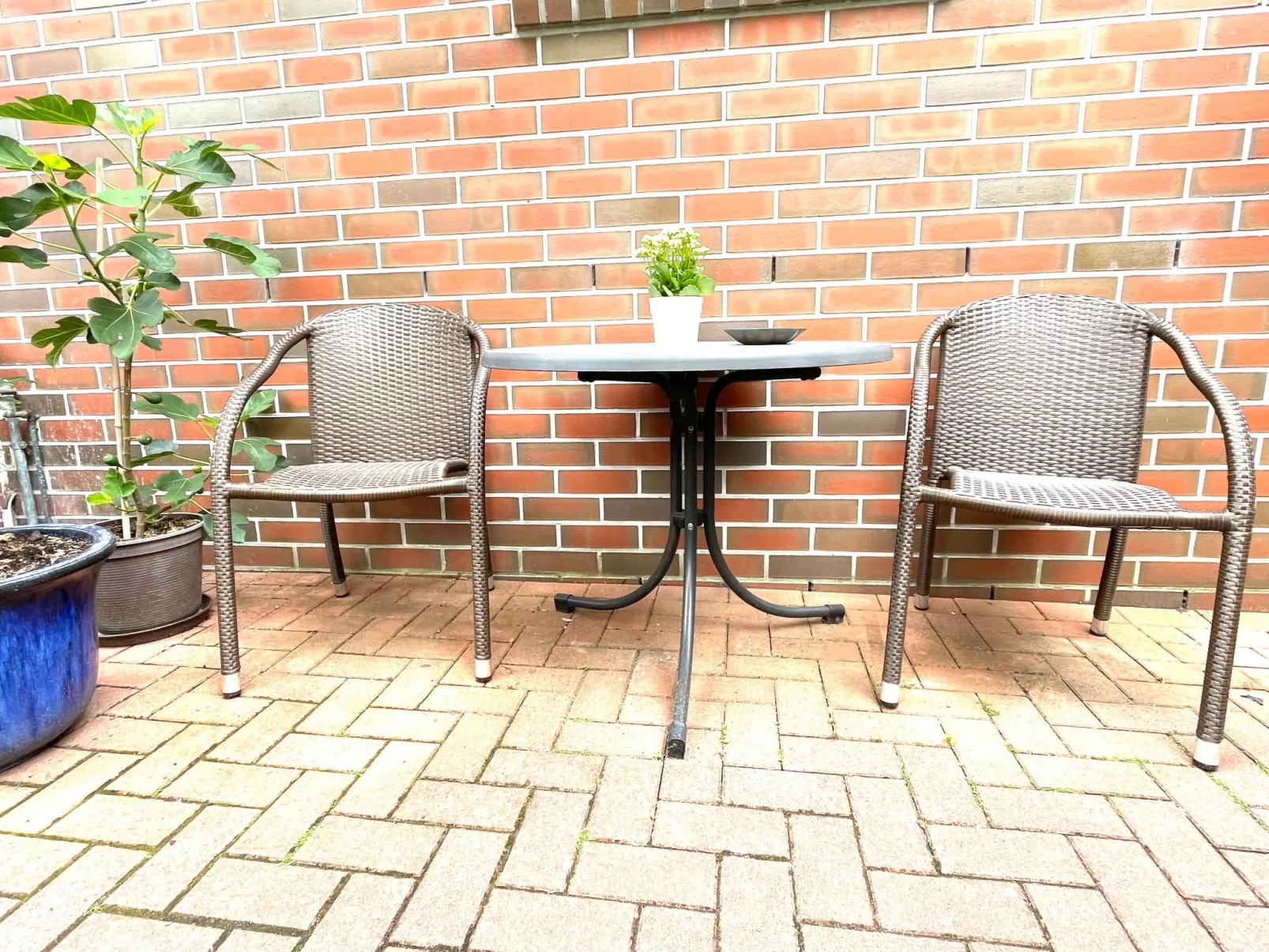 Im Herzen von OL-Buiten