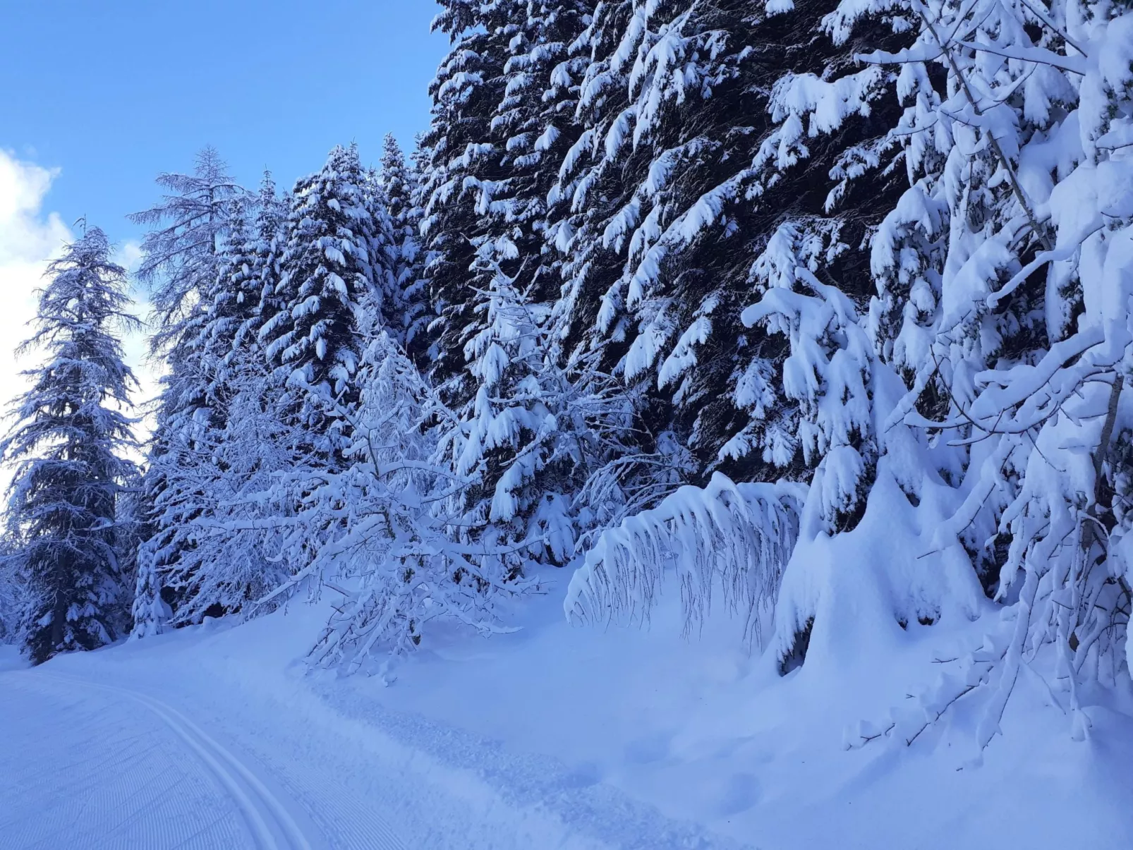 Urlaub in den Bergen-Buiten