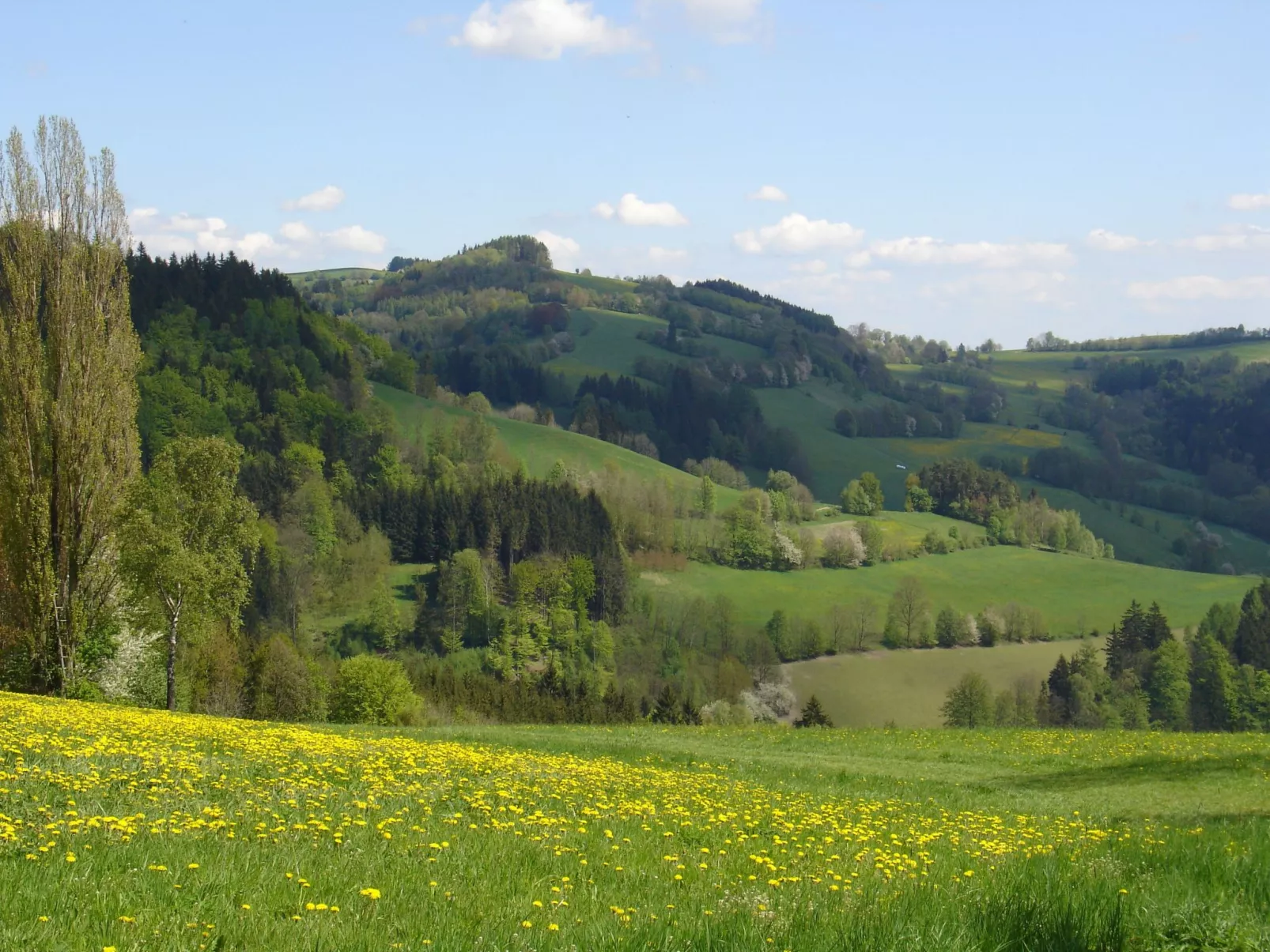Charmantes, traditionelles Holzhaus-Buiten