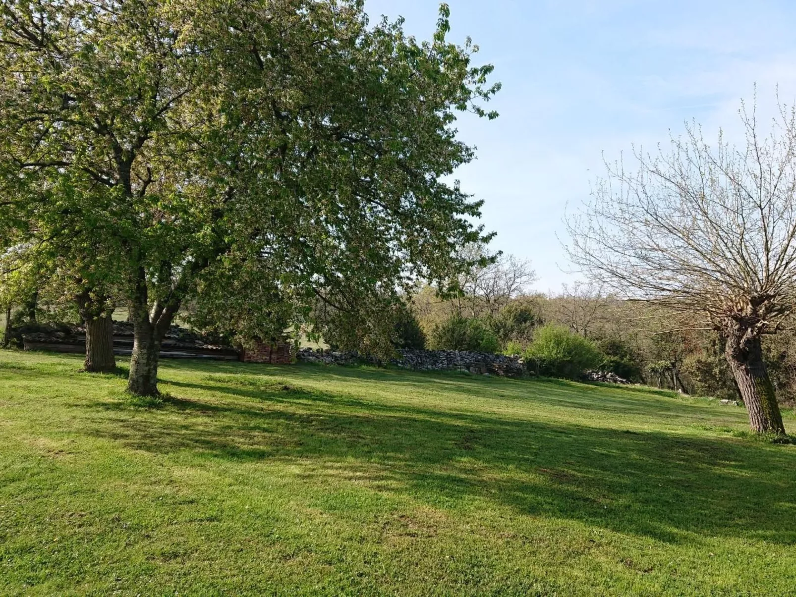 Das Haus im Wald-Buiten