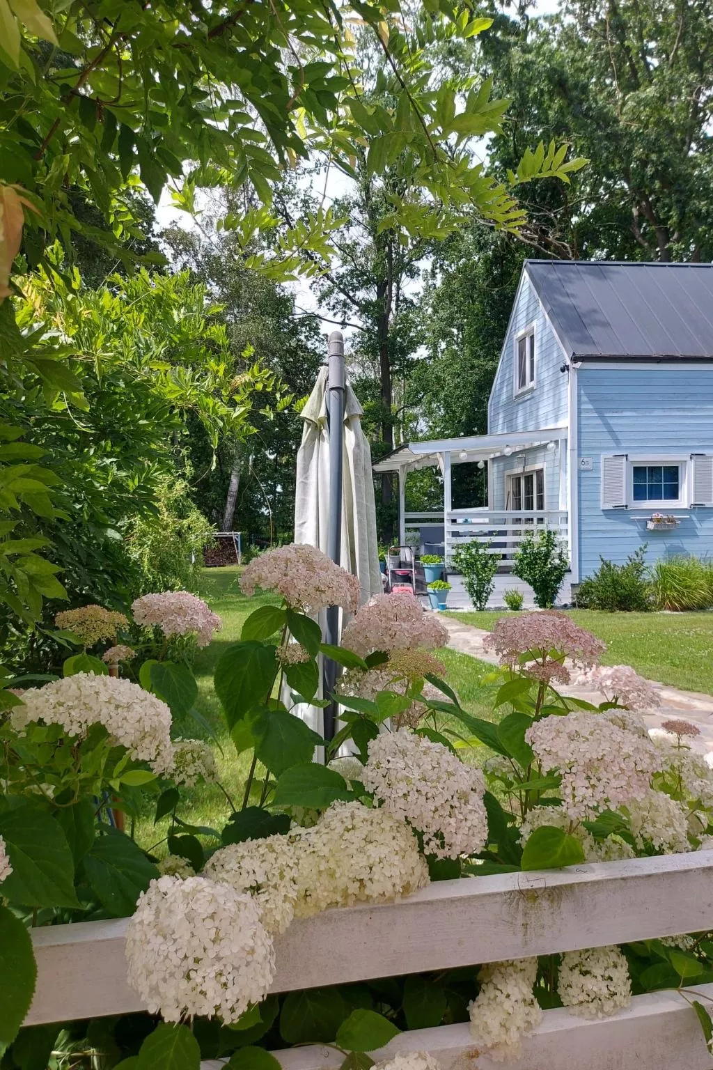 Chakram Nowe Warpno-Buiten