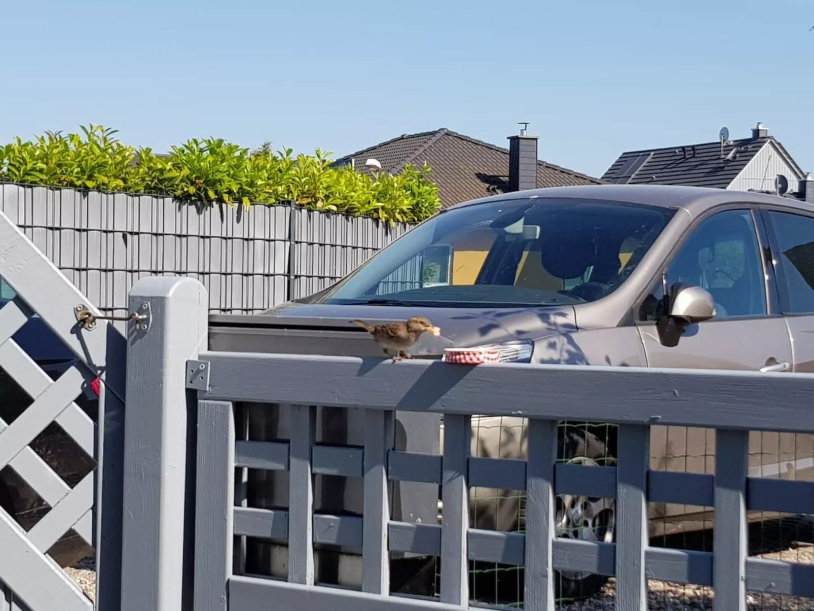 Kapitänskoje an der Wismarbucht-Buiten