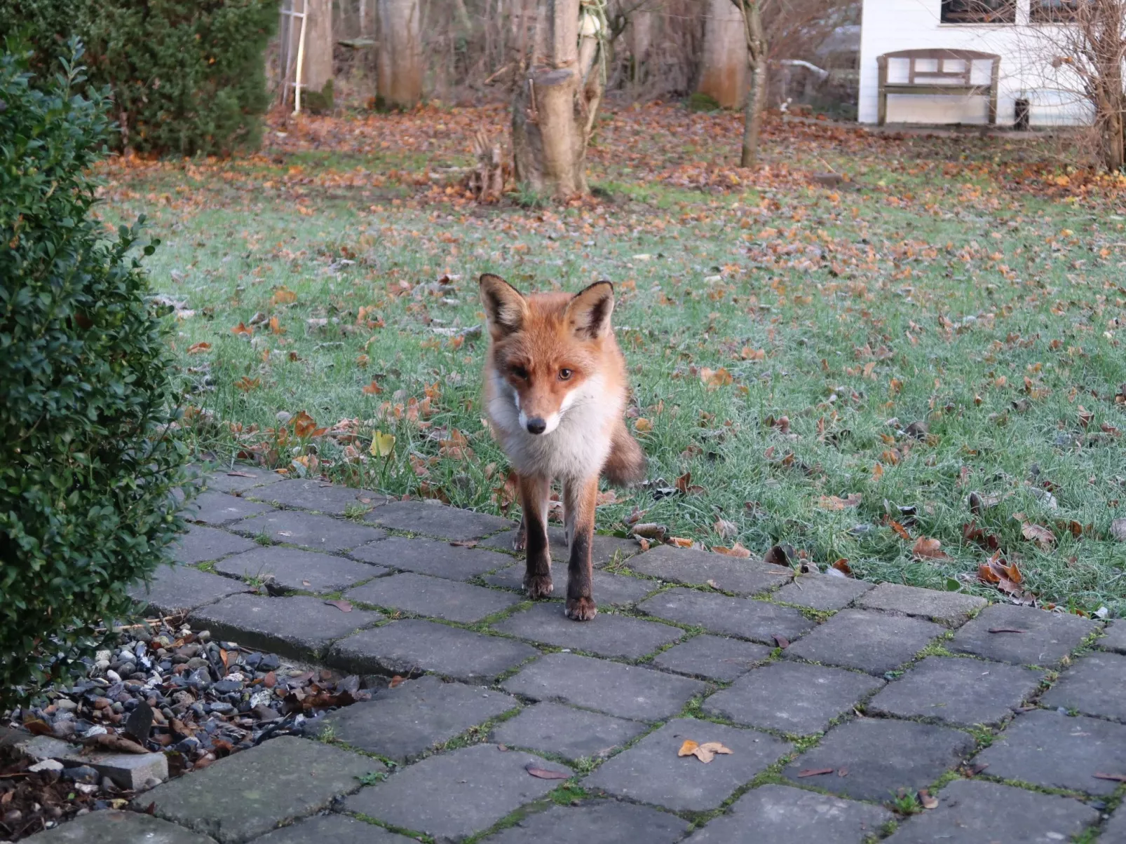 Haus-Zauberblau-Image-tags.info