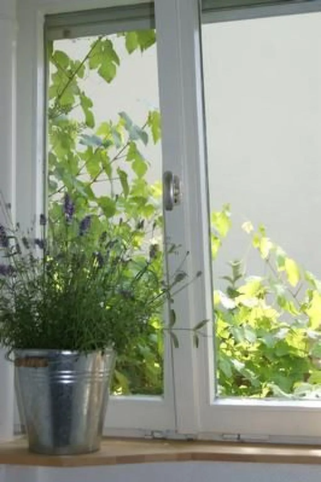 Kleine Dachwohnung-Binnen