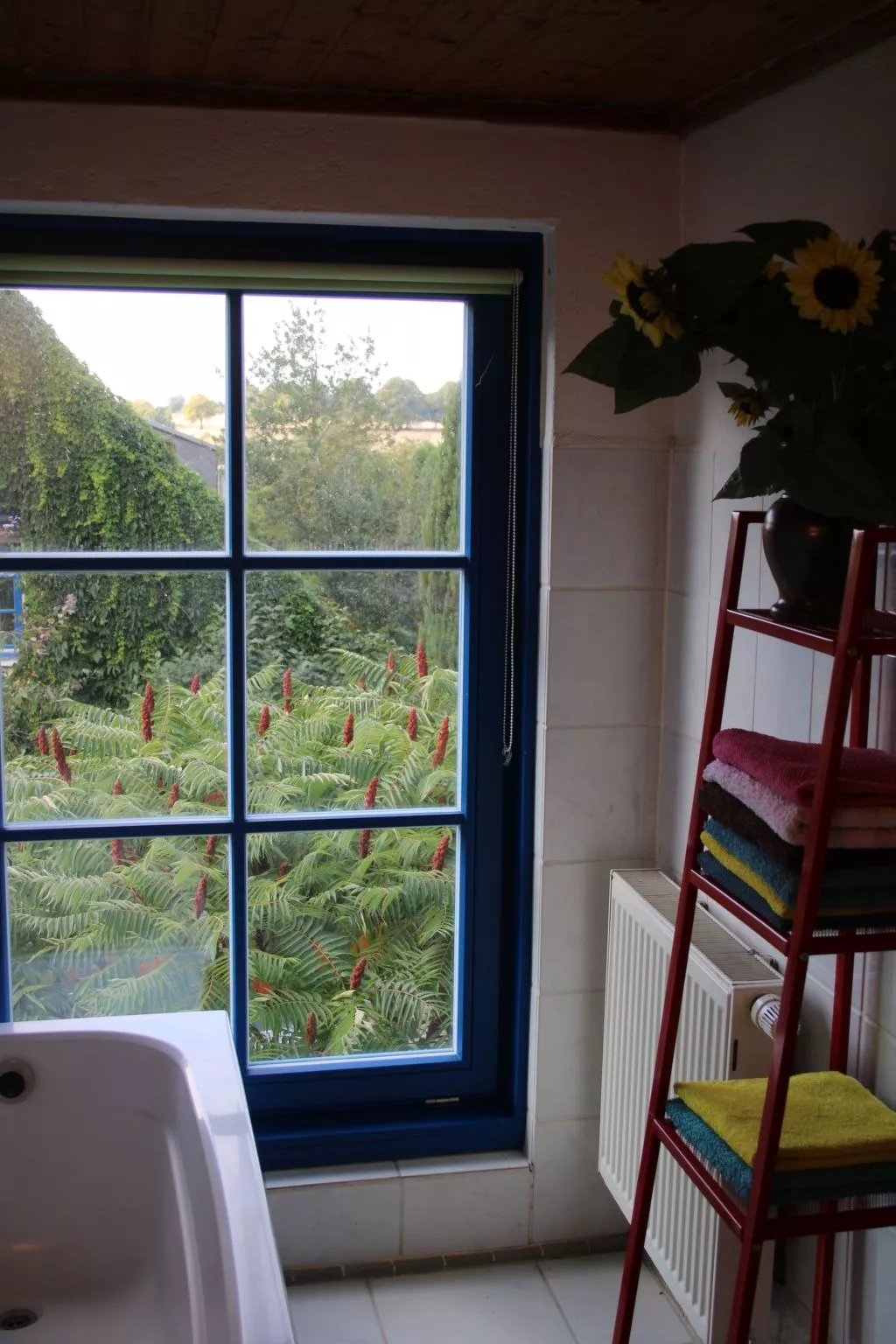 Boompicker-Image-tags.info