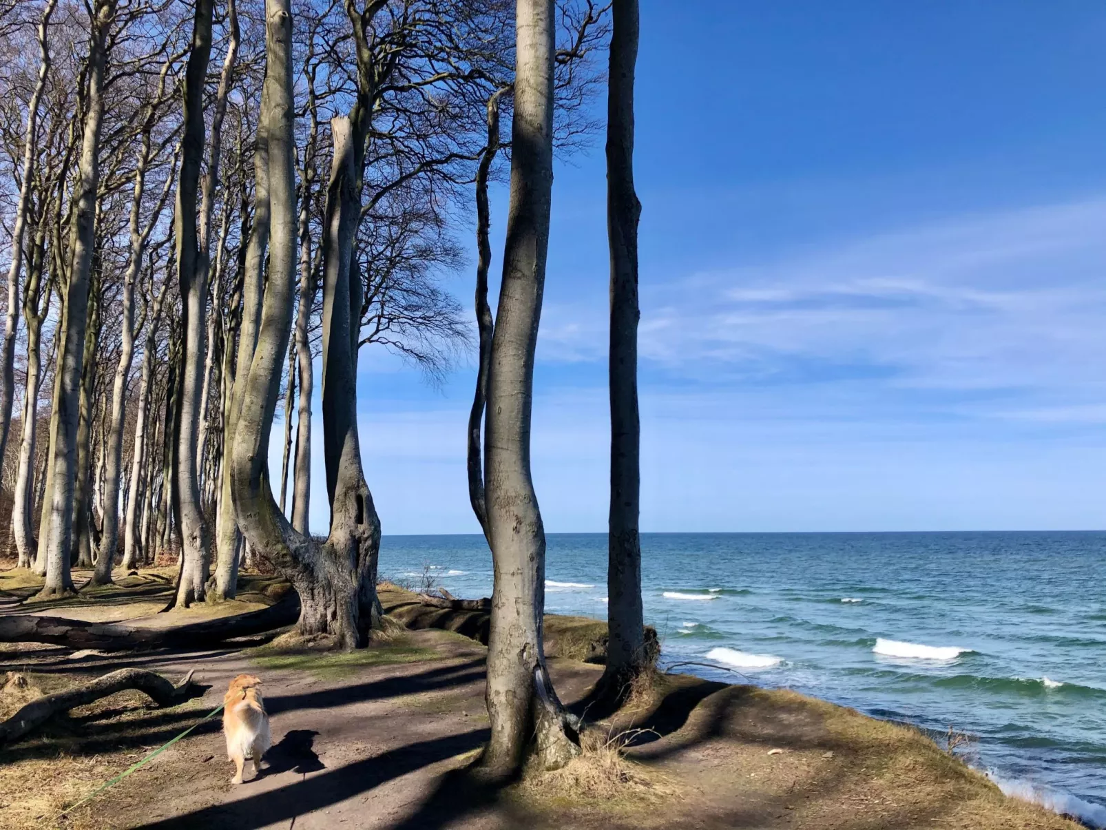 In Strandnähe-Buiten