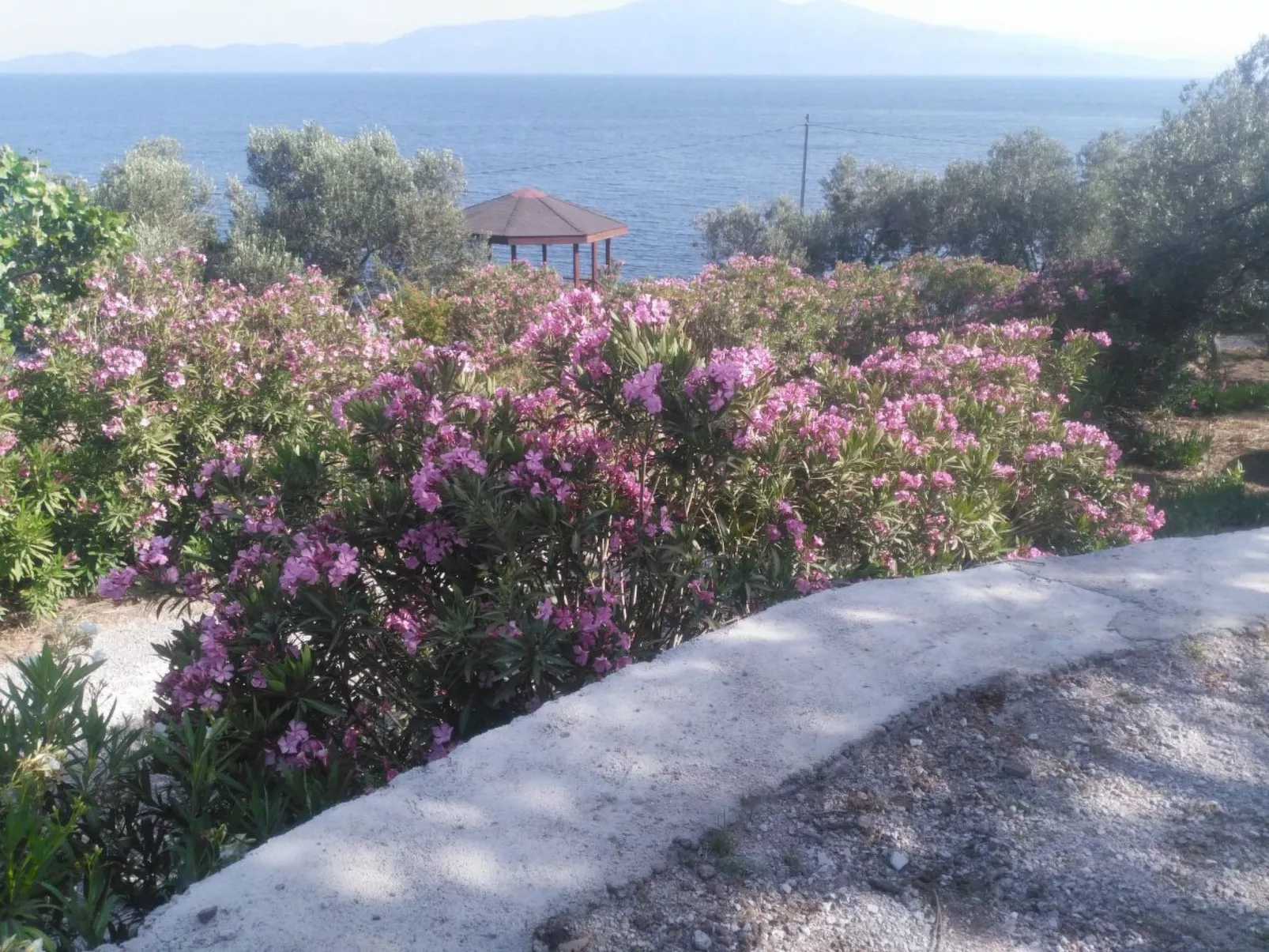 Assos Sivrice Gästehaus-Buiten