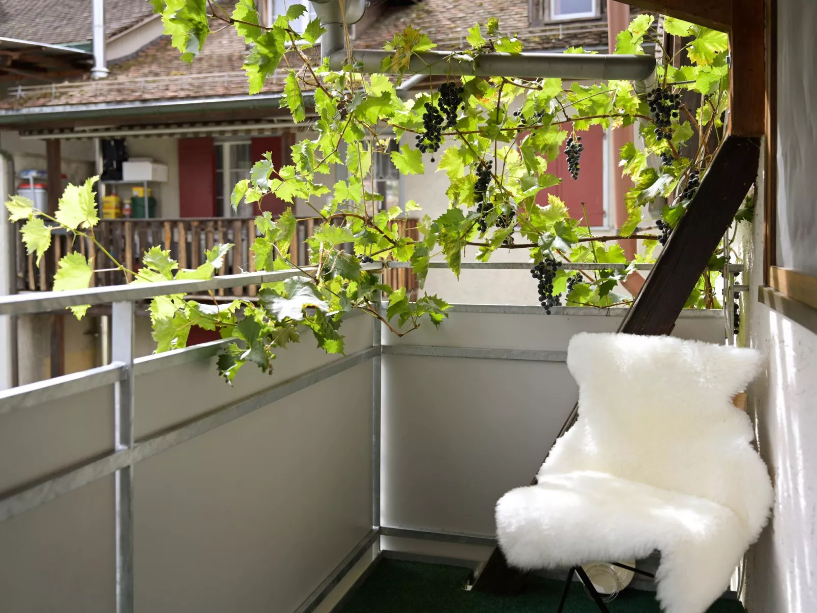 WohlfühlNest-Binnen