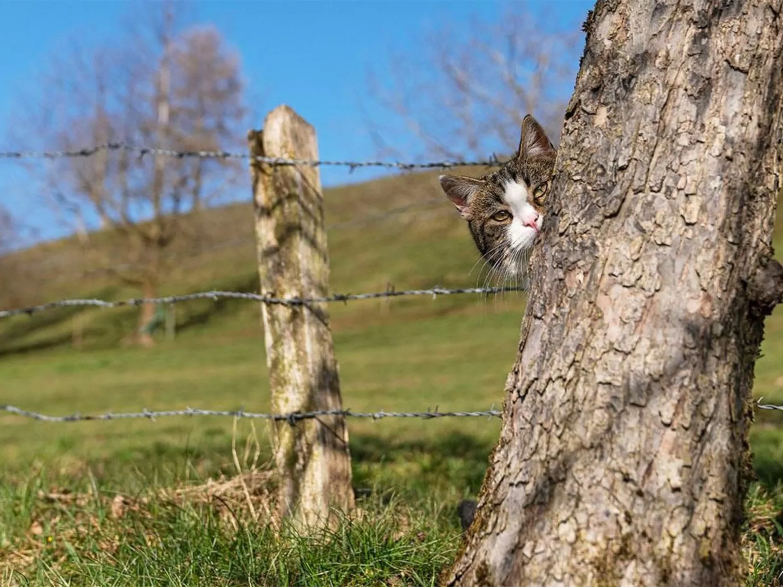 Eggenhof Ferien-Buiten