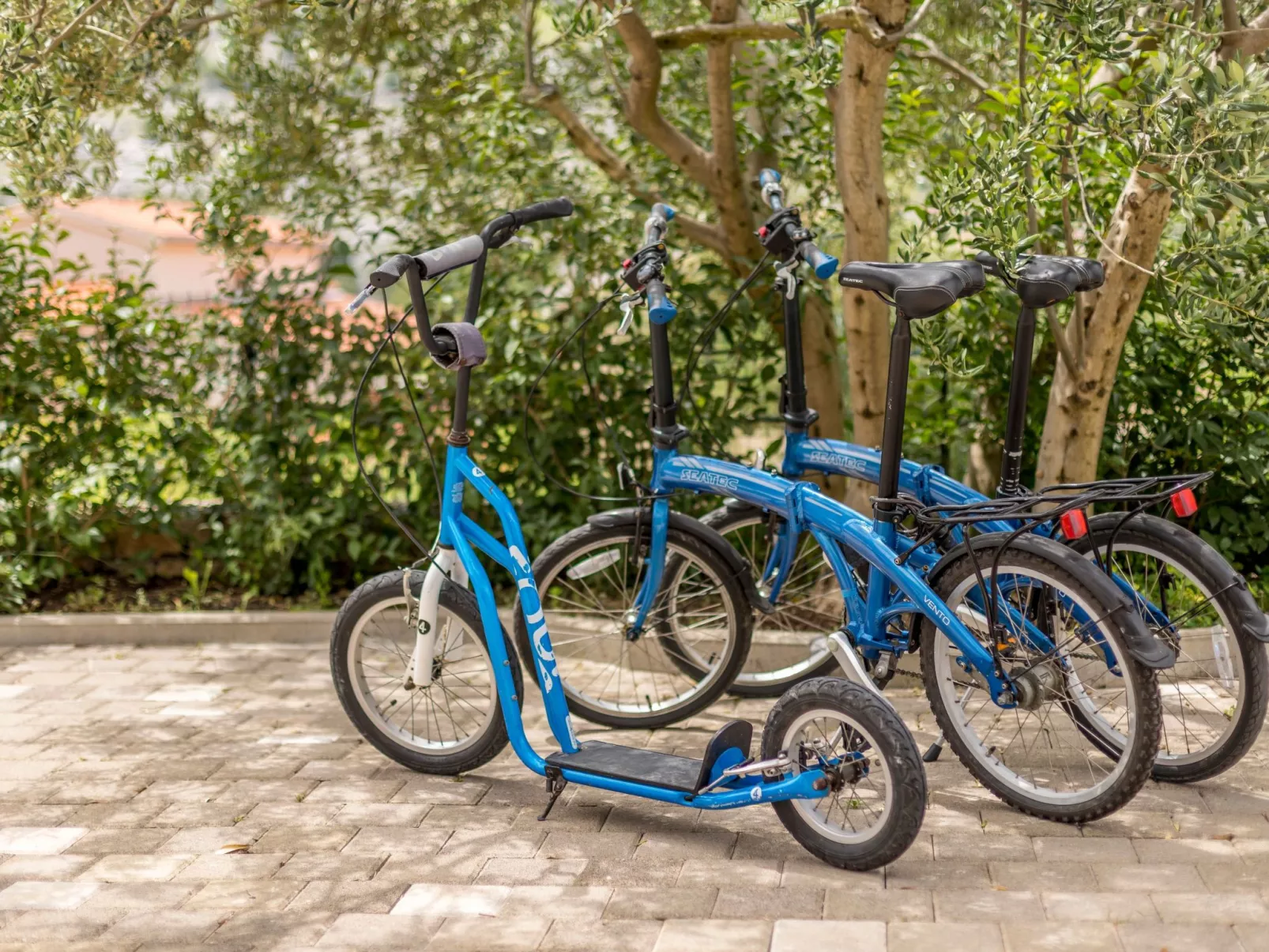 Ferienvilla "Paradies auf Erden"-Buiten