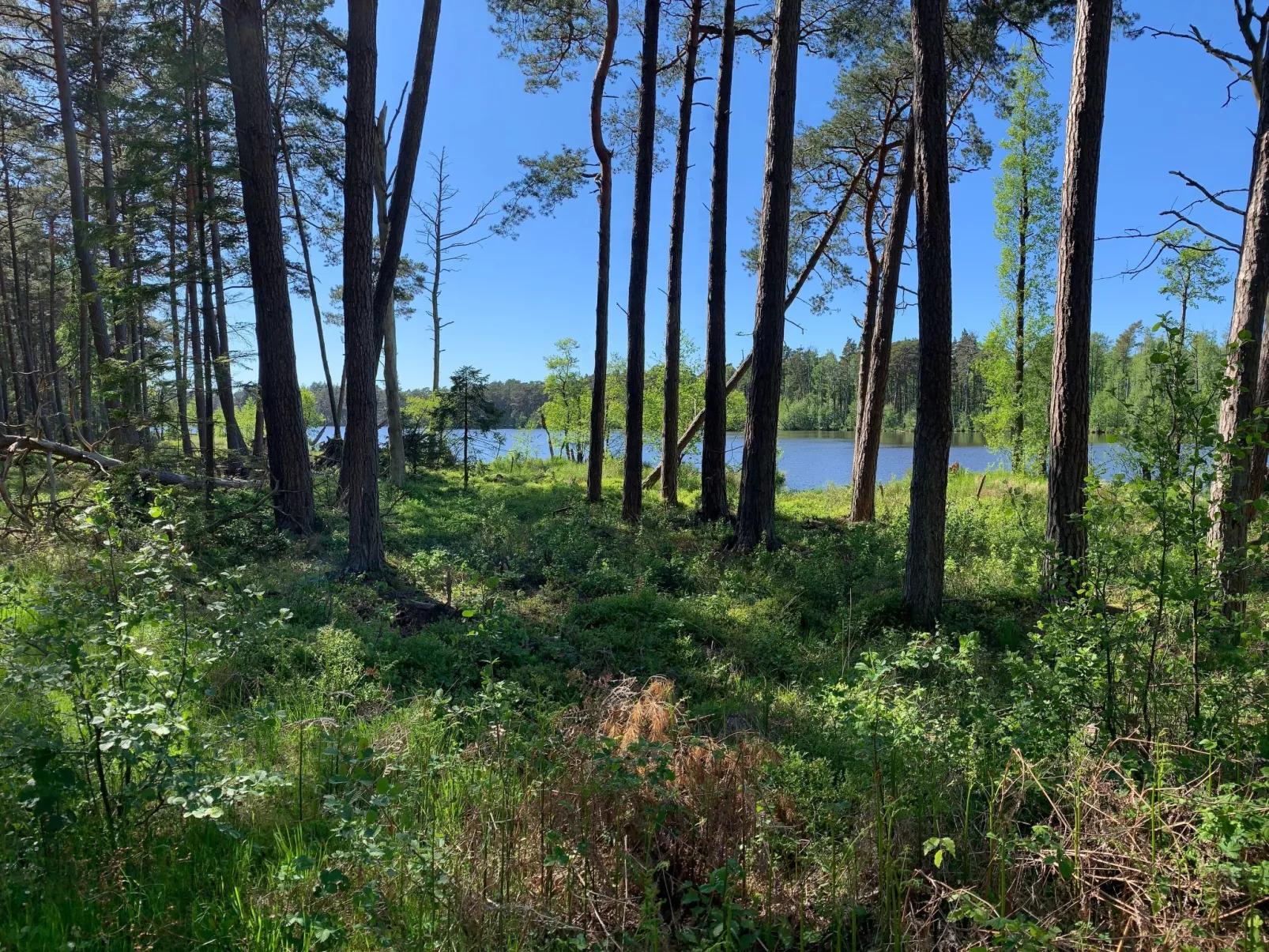 Ferien an der Ostsee-Binnen
