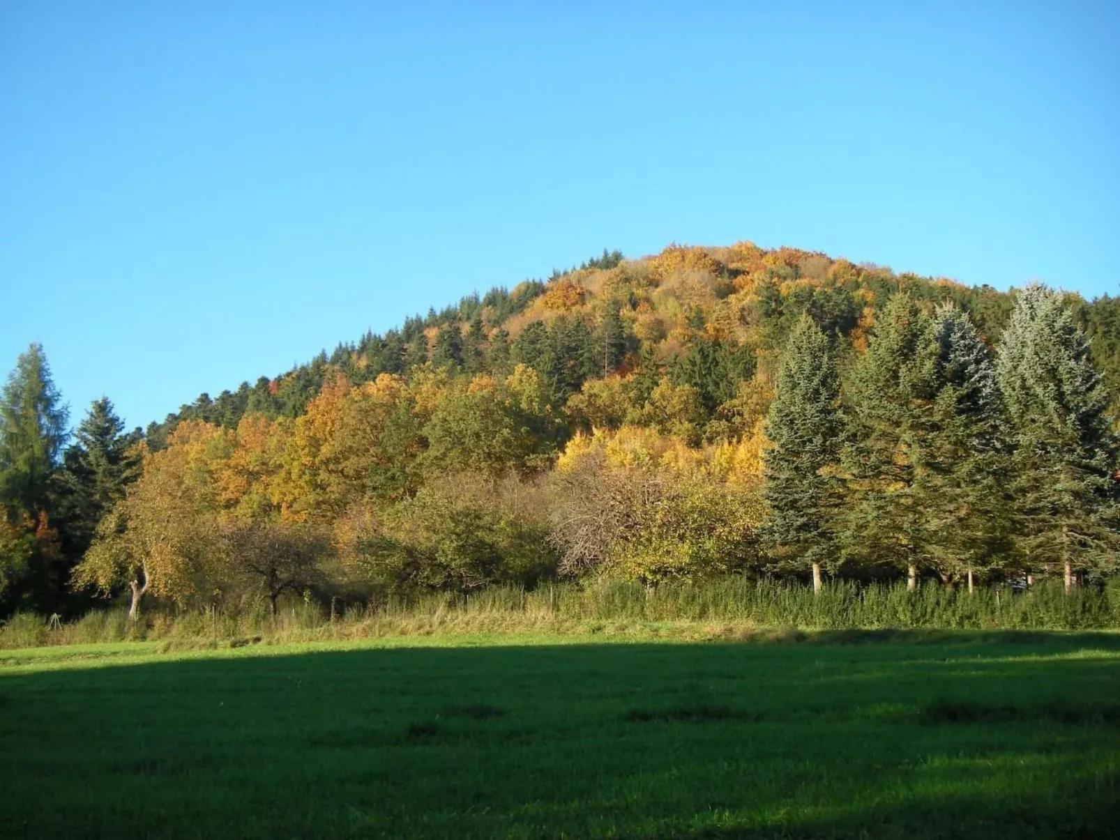 Haus "Hermann"-Binnen