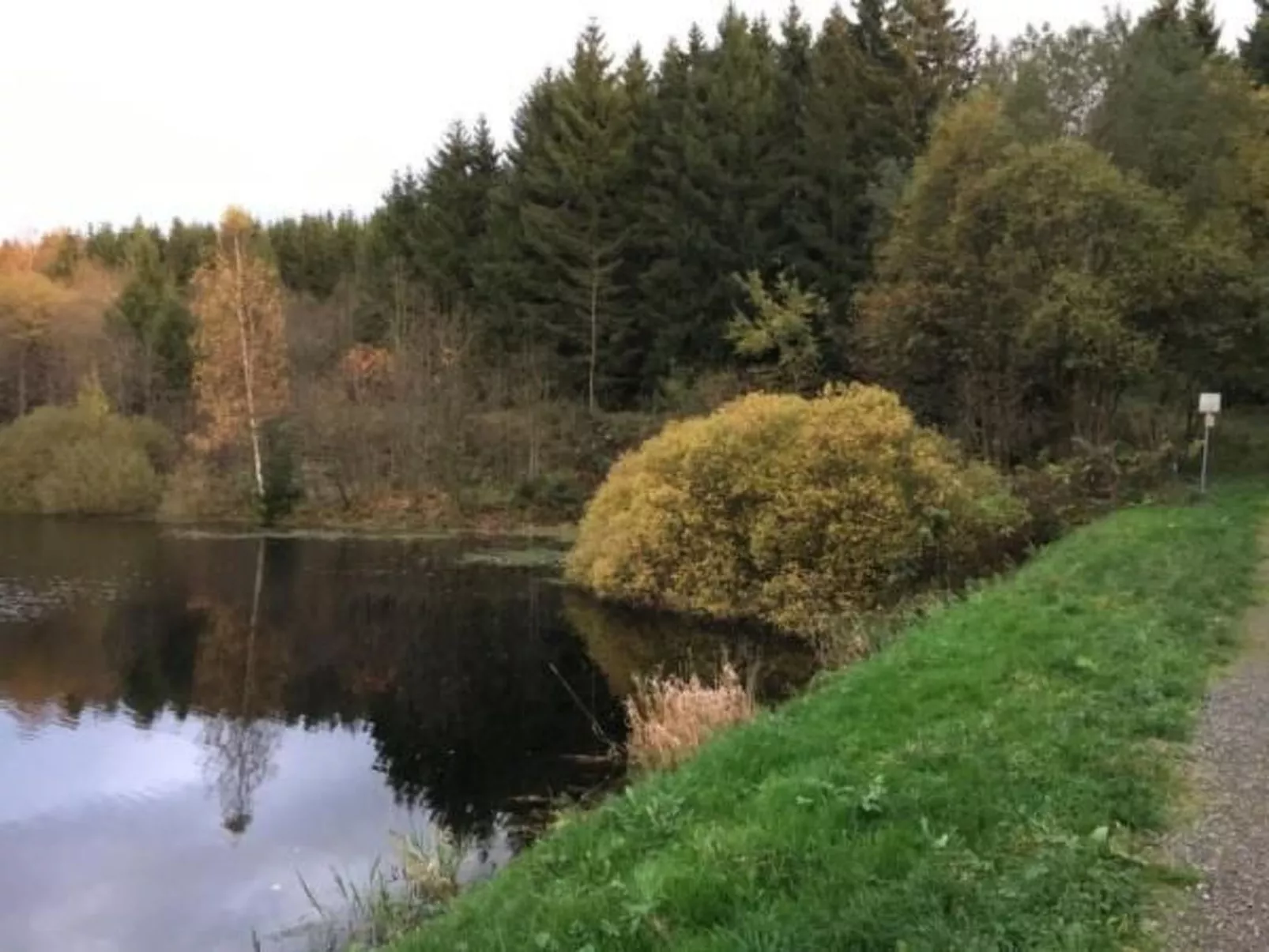 Ferienapartm. Adler-Buiten