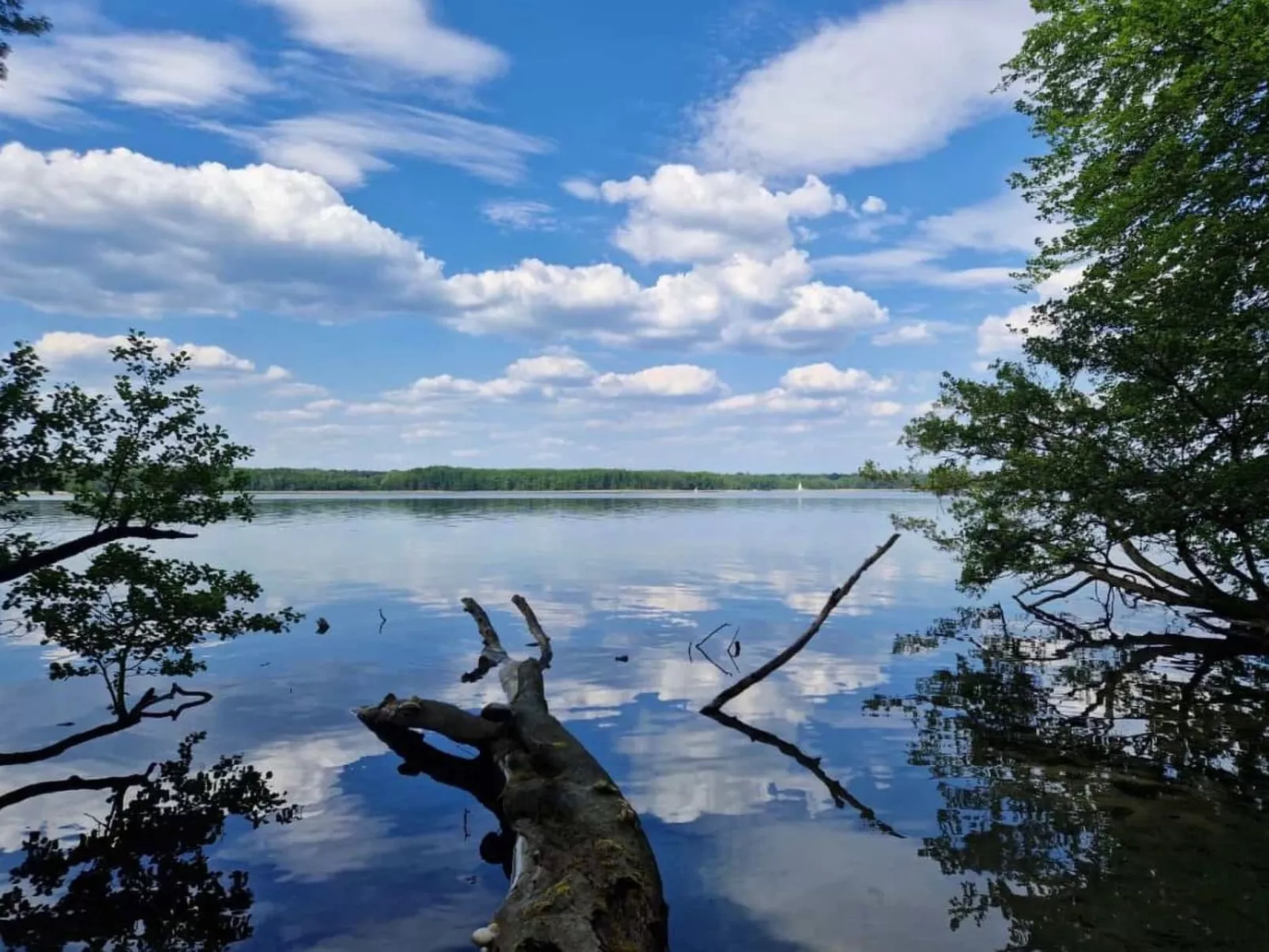 Nette Wohnung in Joachimsthal mit Kleiner Terrasse-Image-tags.info