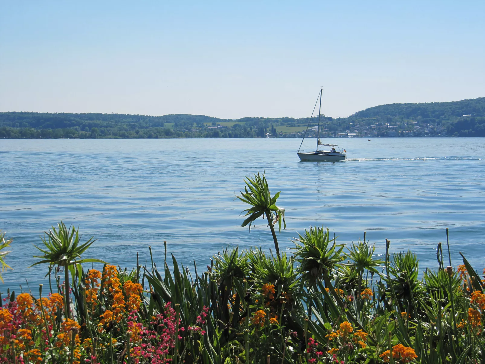 3-Zimmer-Fewo mit herrlichem Seeblick-Omgeving