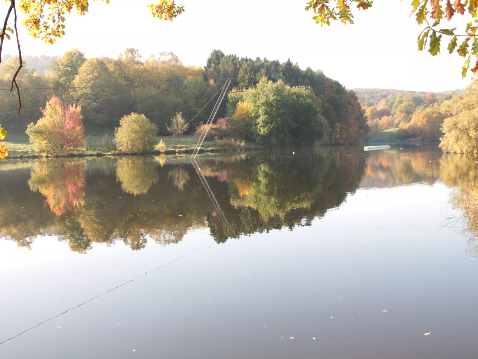 Cat'n'Boots Haus-Image-tags.info