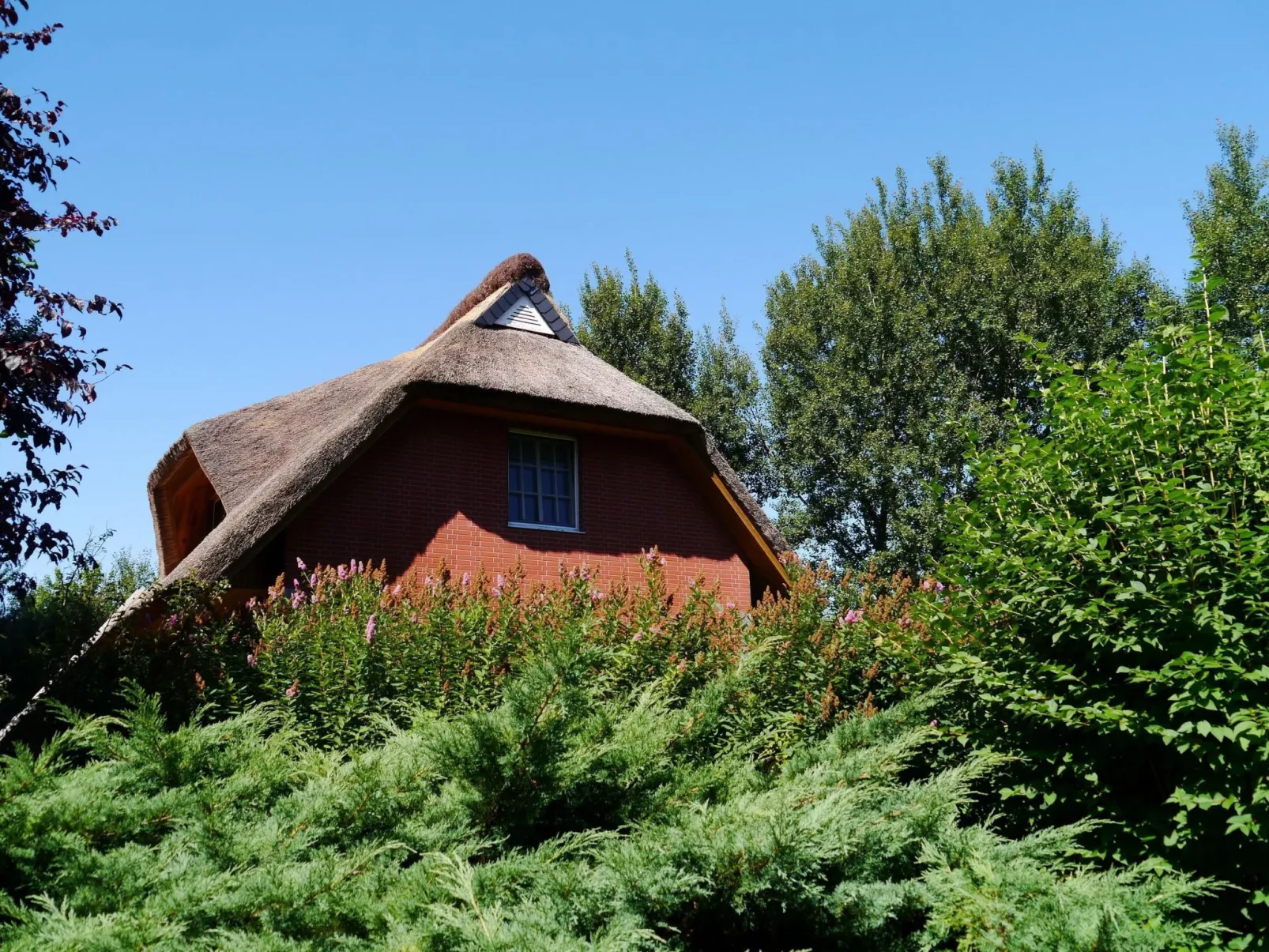 Idyllisches Reetdachhaus mit großem Garten-Binnen